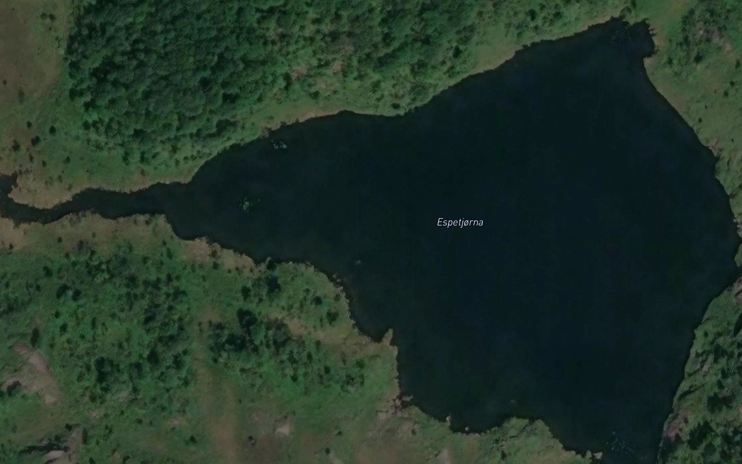 Espetjorna