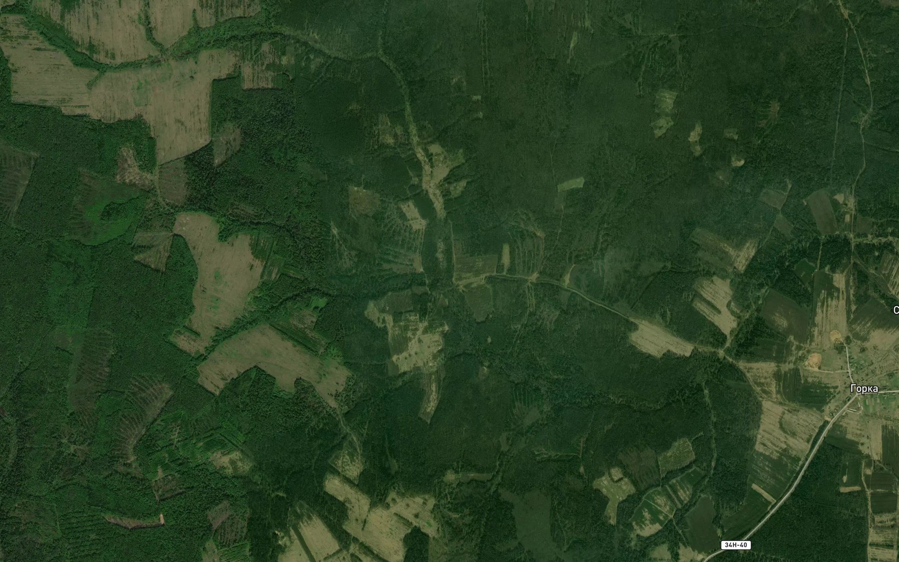 Satellite map of the Fominka