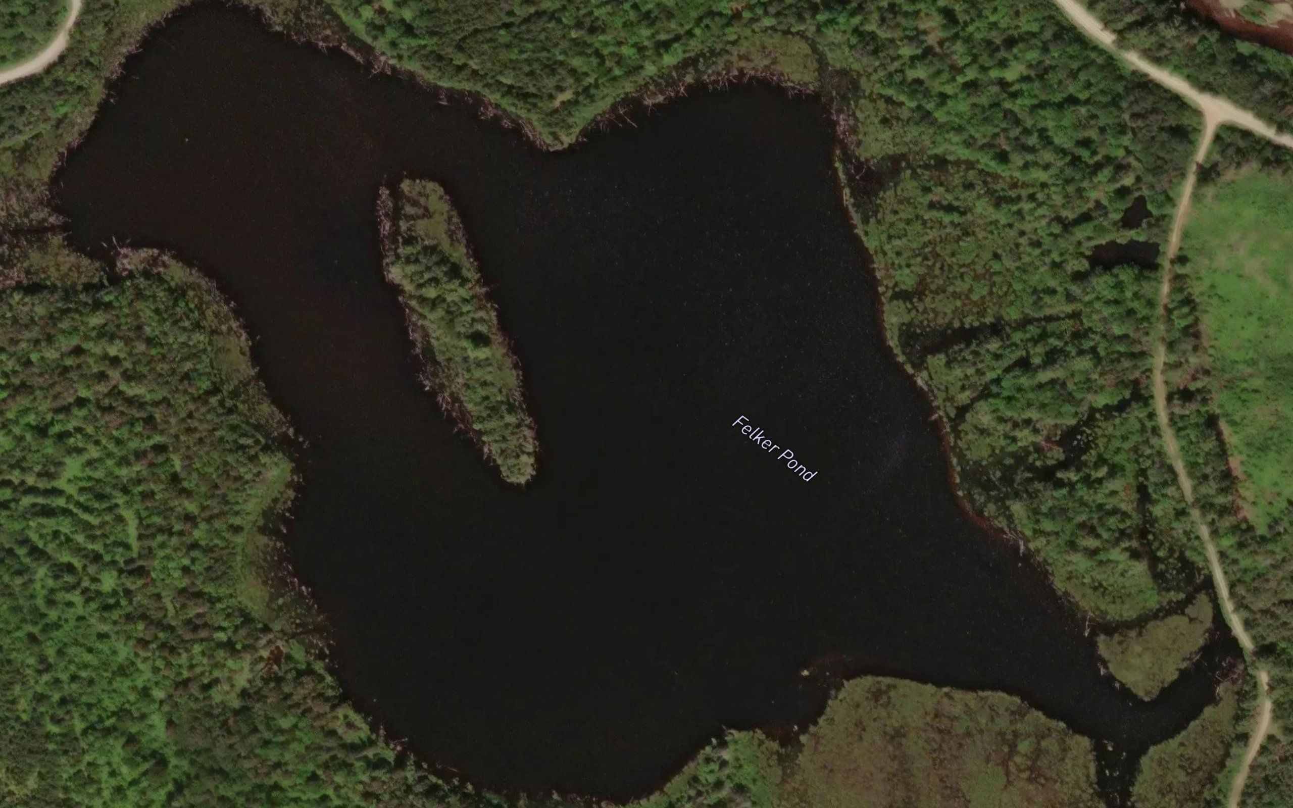 Felker Pond