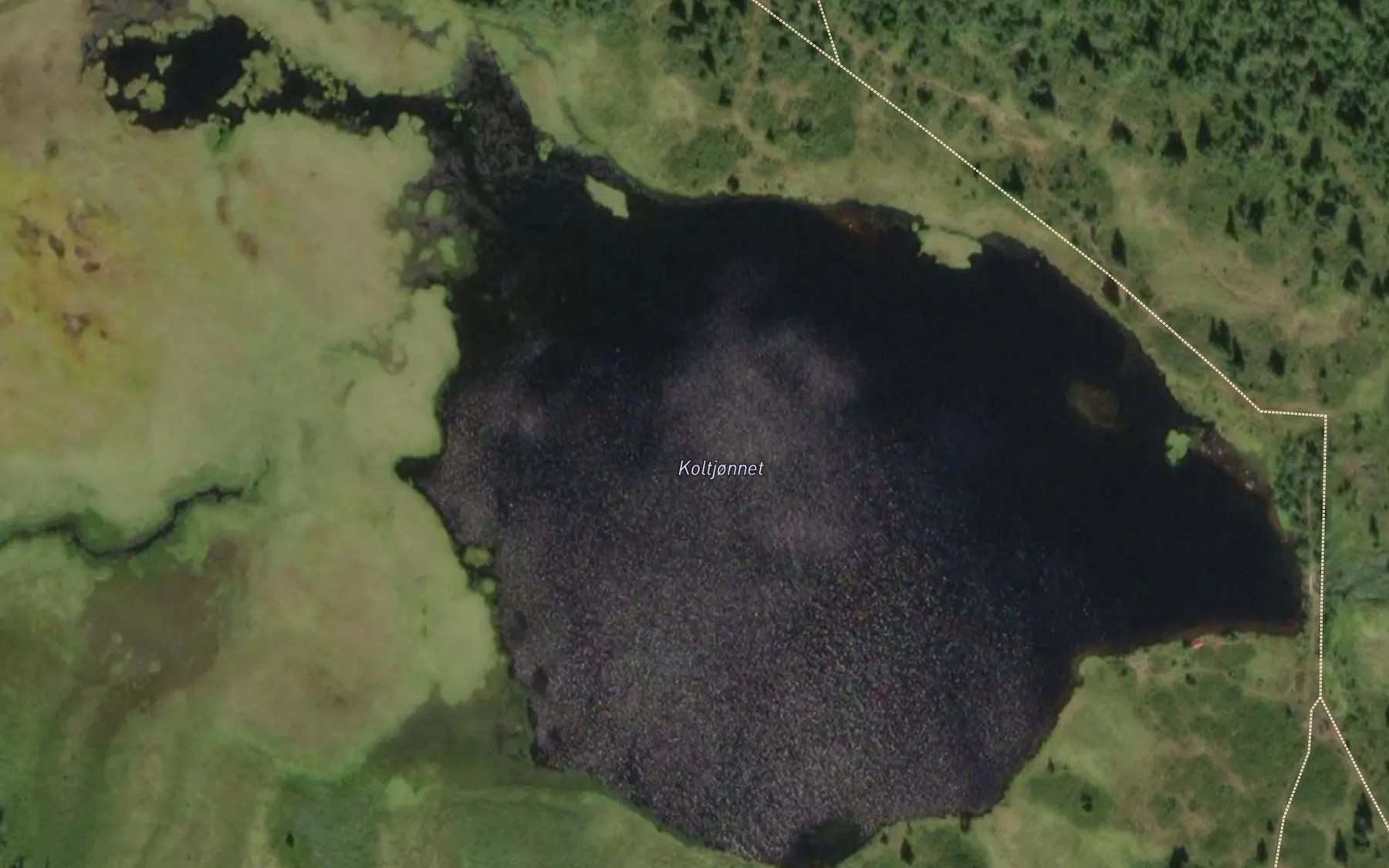 Satellite map of the Koltjornet