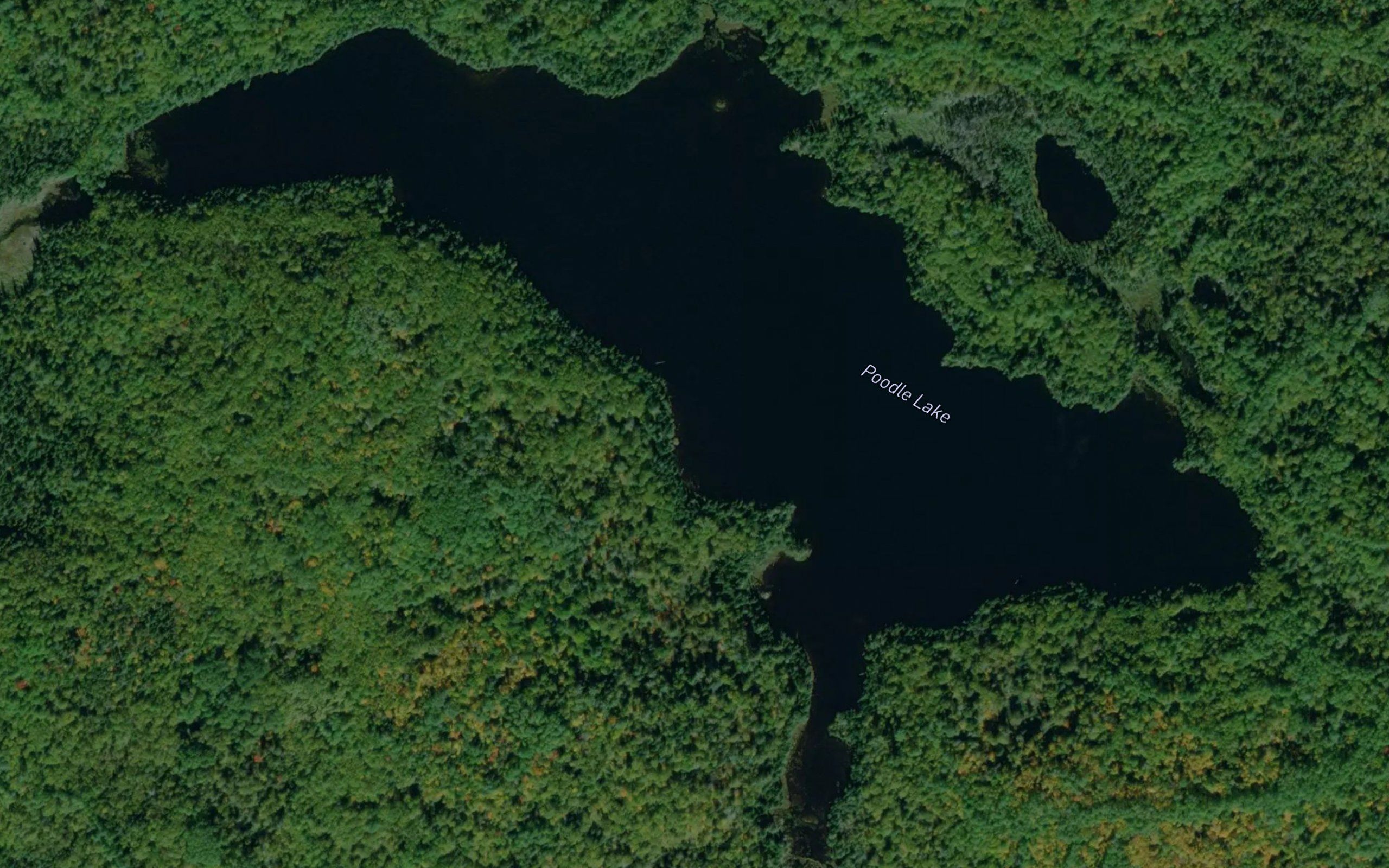 Poodle Lake