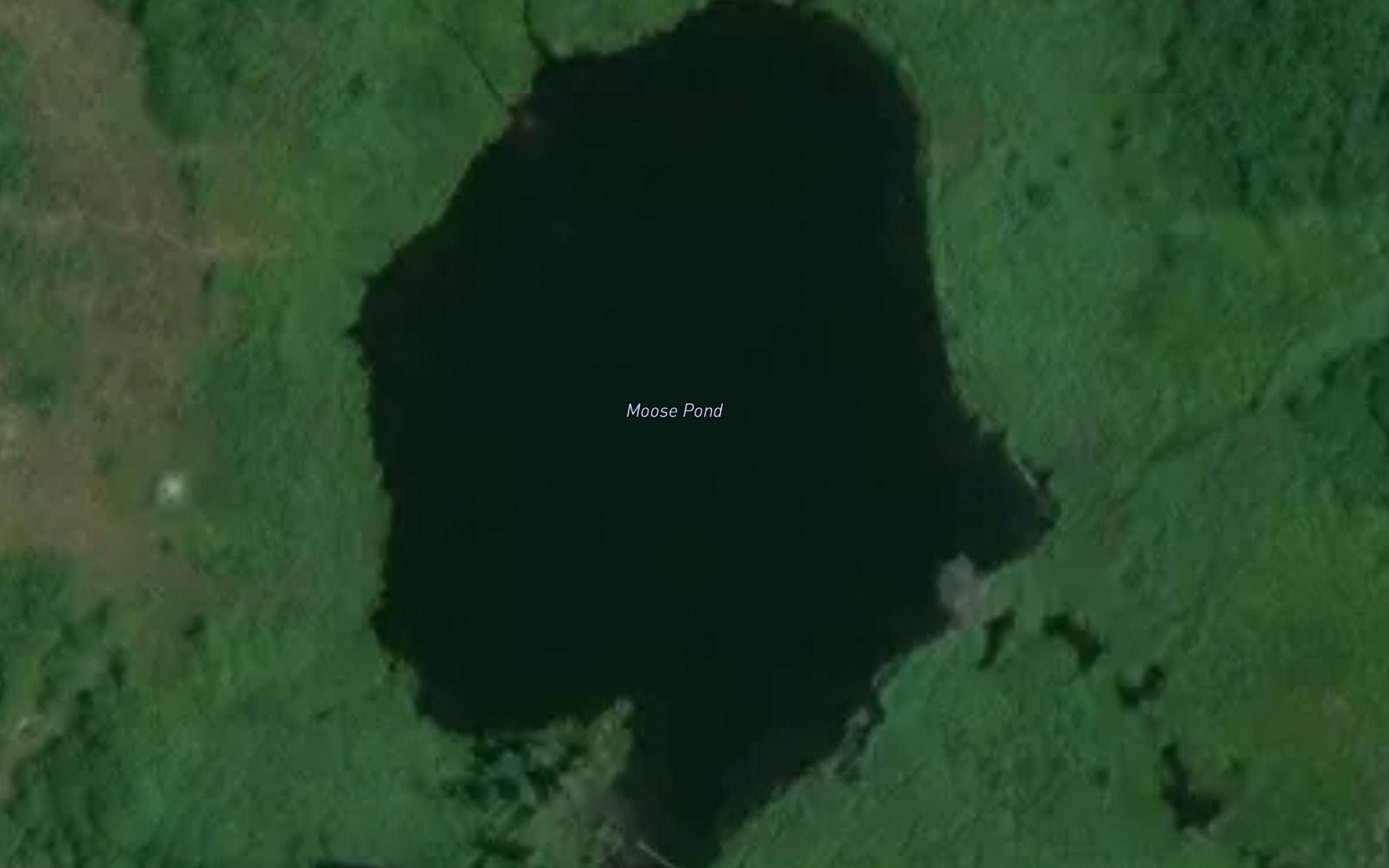 Moose Pond