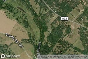 Knopp Branch