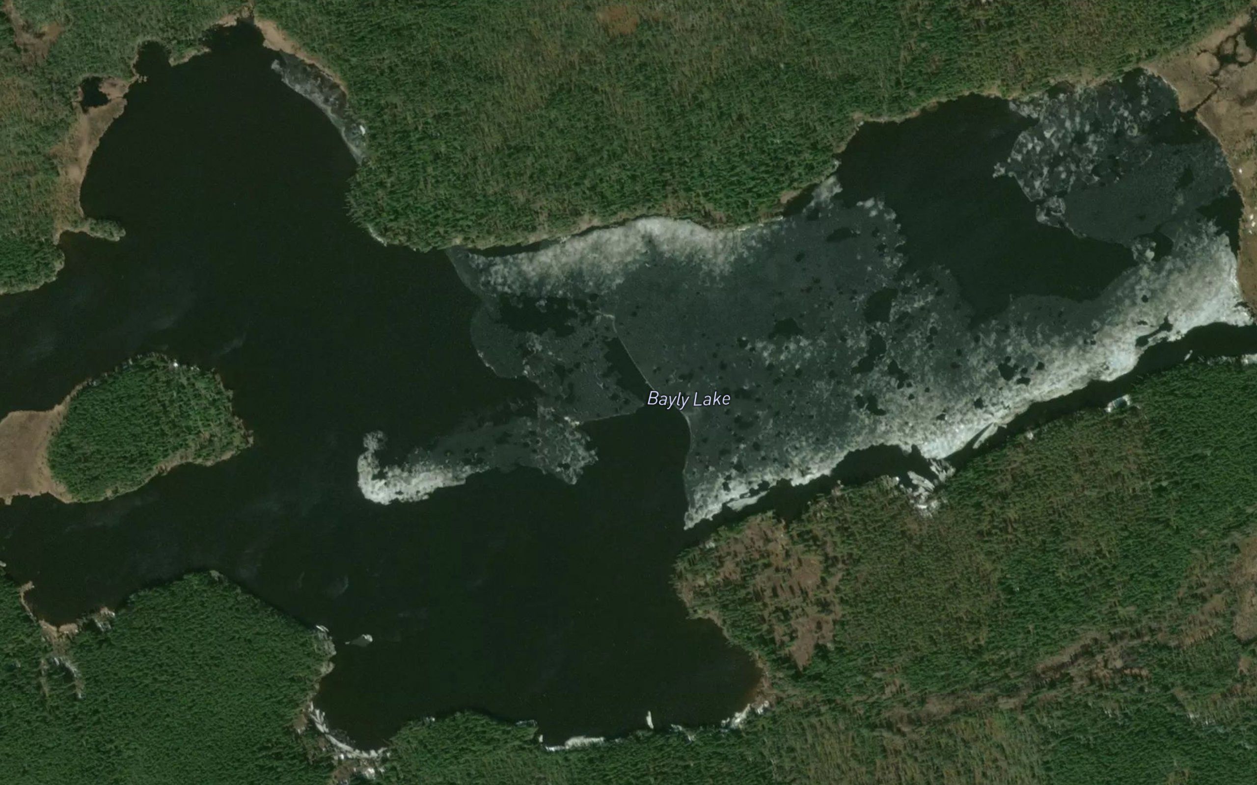 Bayly Lake