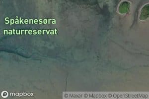 Spakenesora