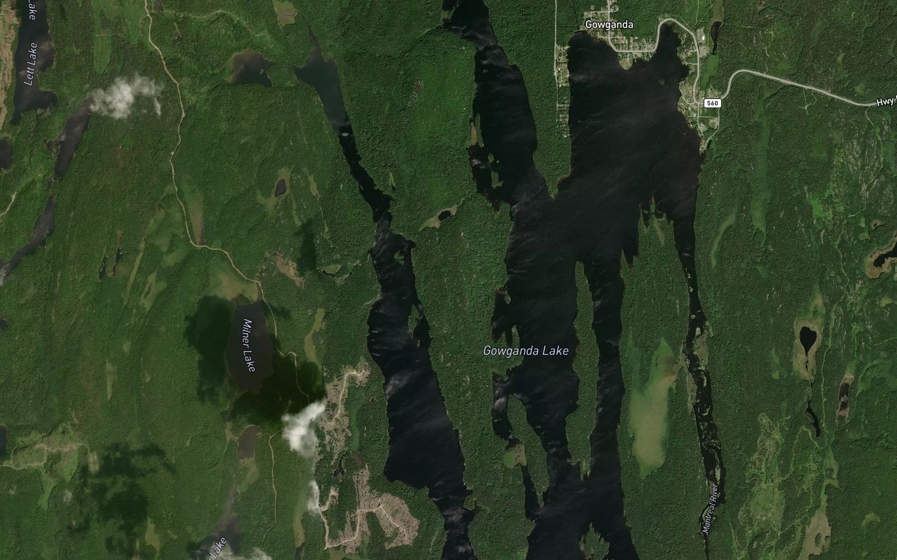 Satellite map of the Beaton Bay