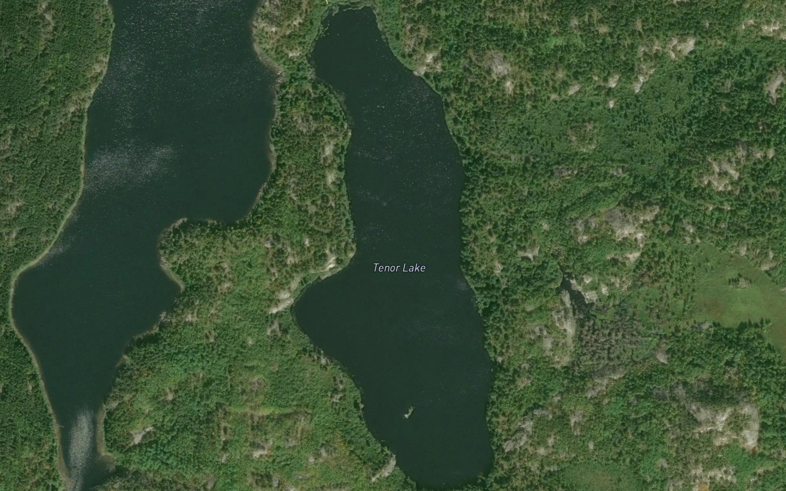 Tenor Lake