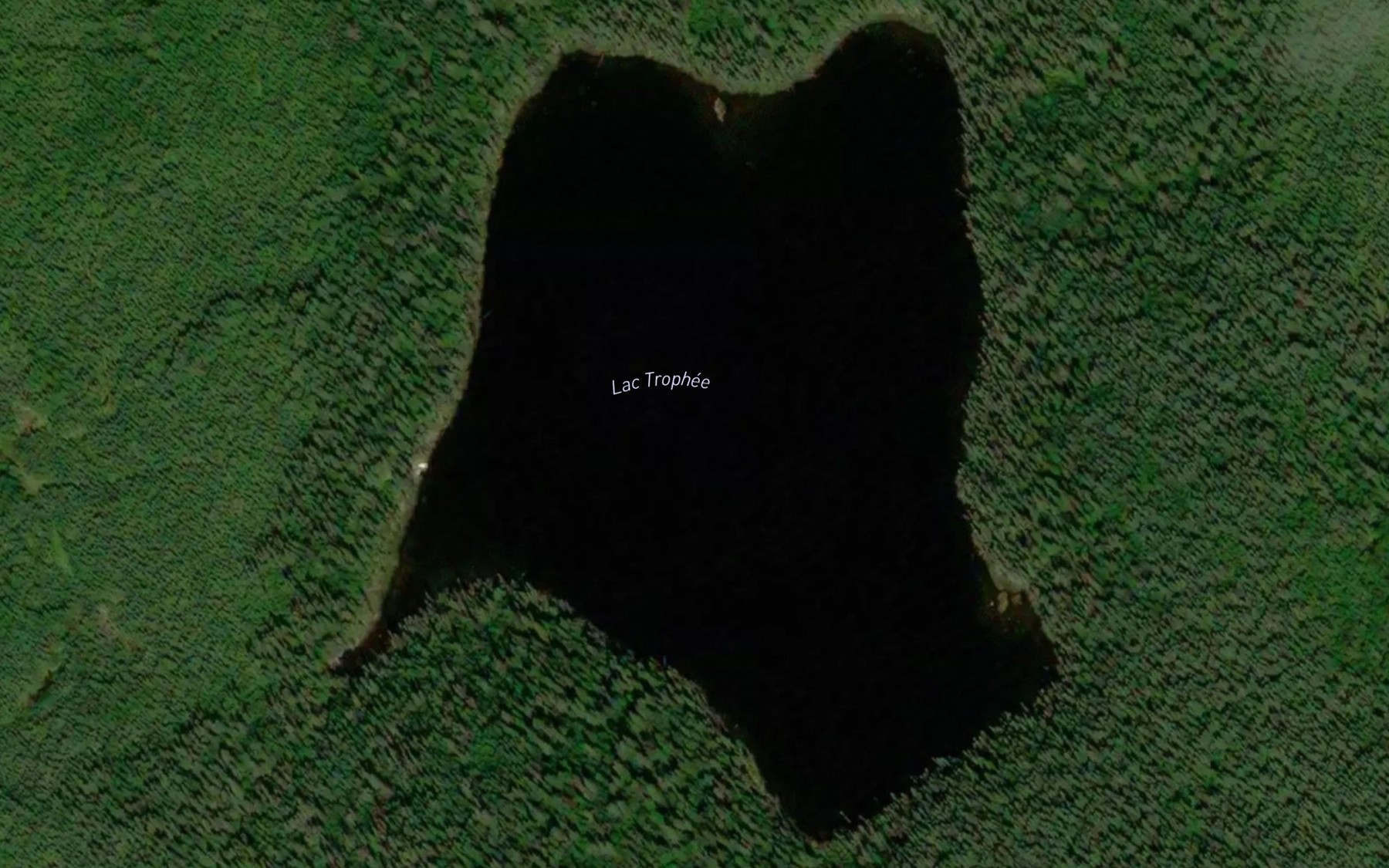 Satellite map of the Lac Trophee