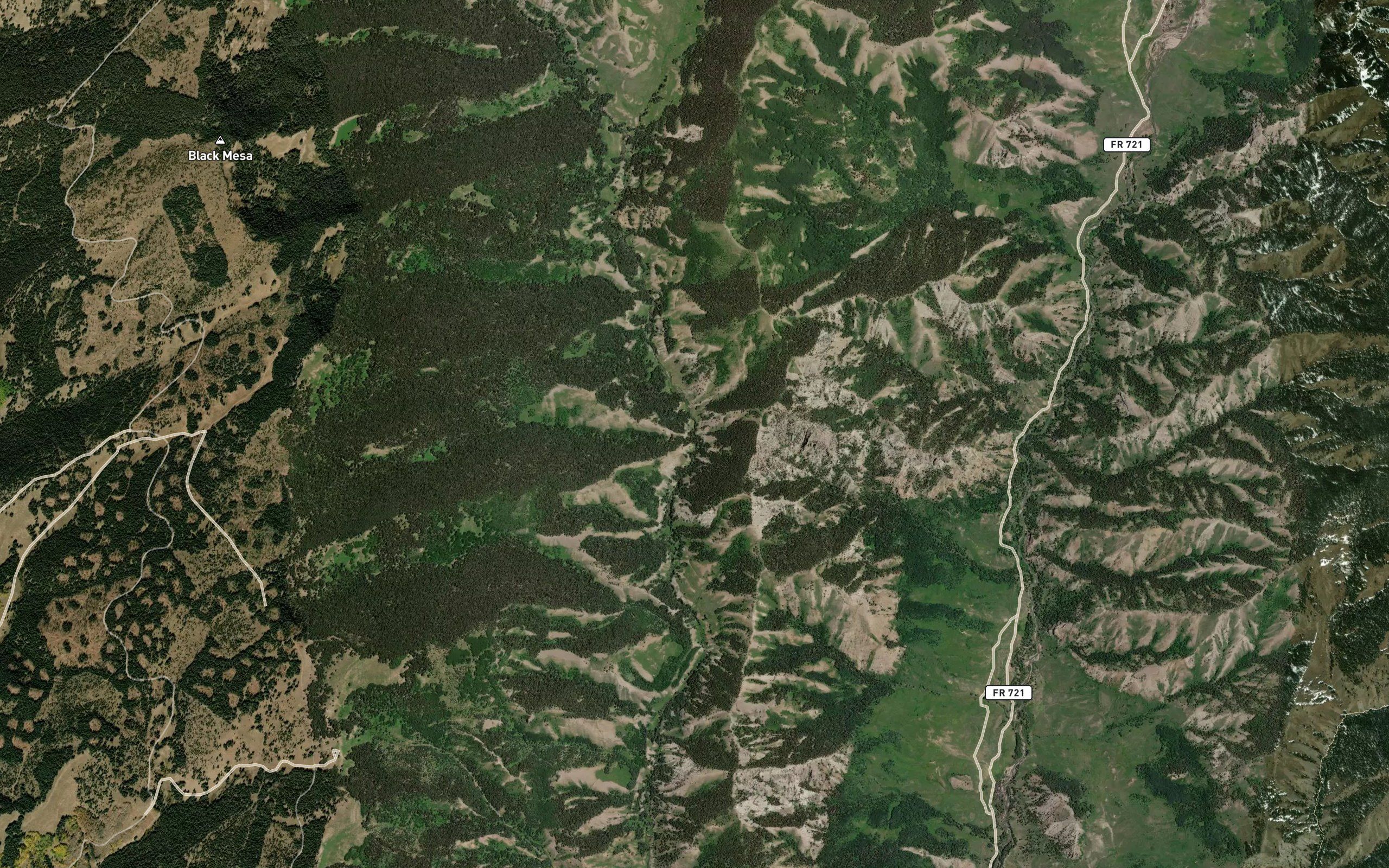 Bottle Creek
