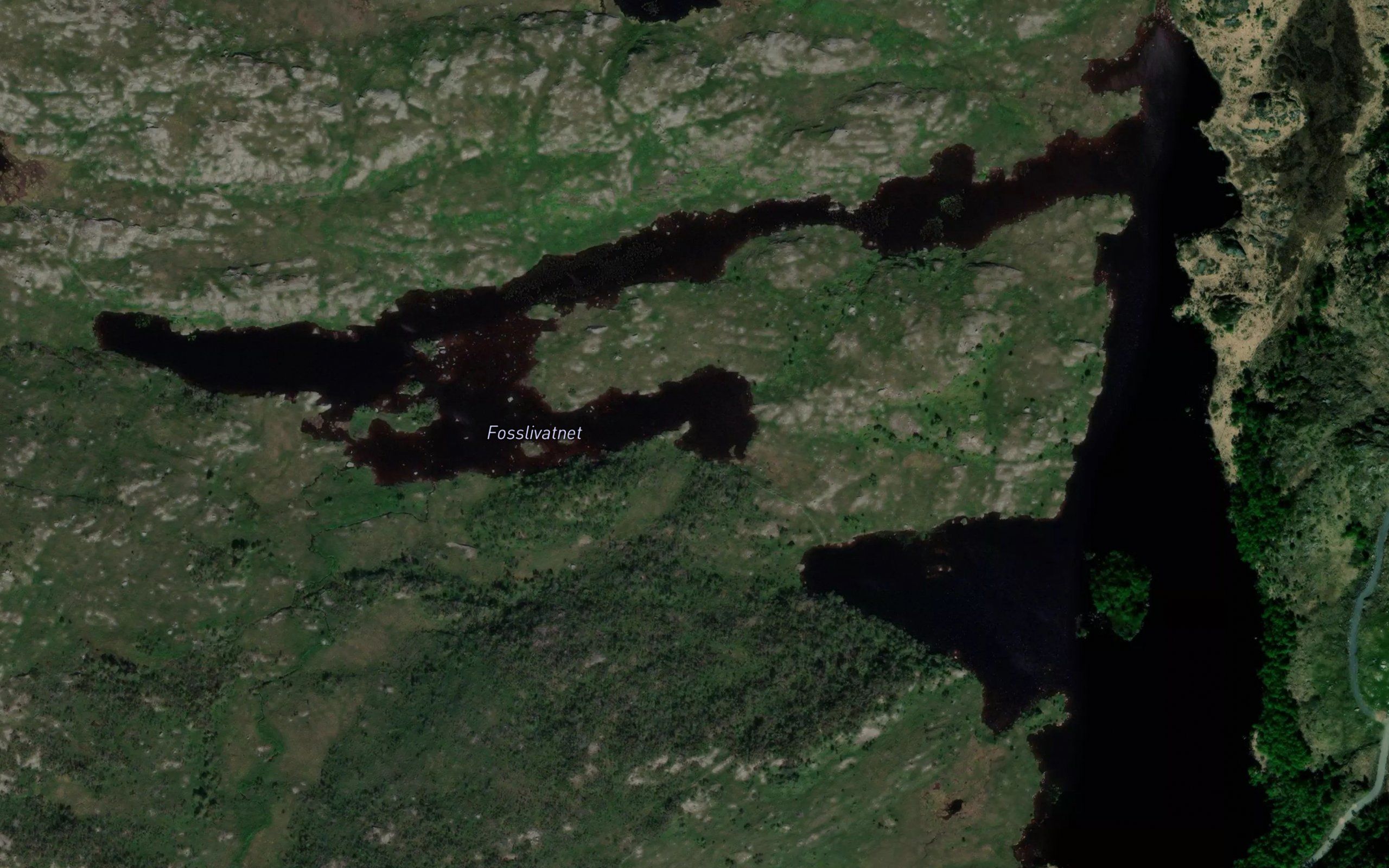 Fosslivatnet