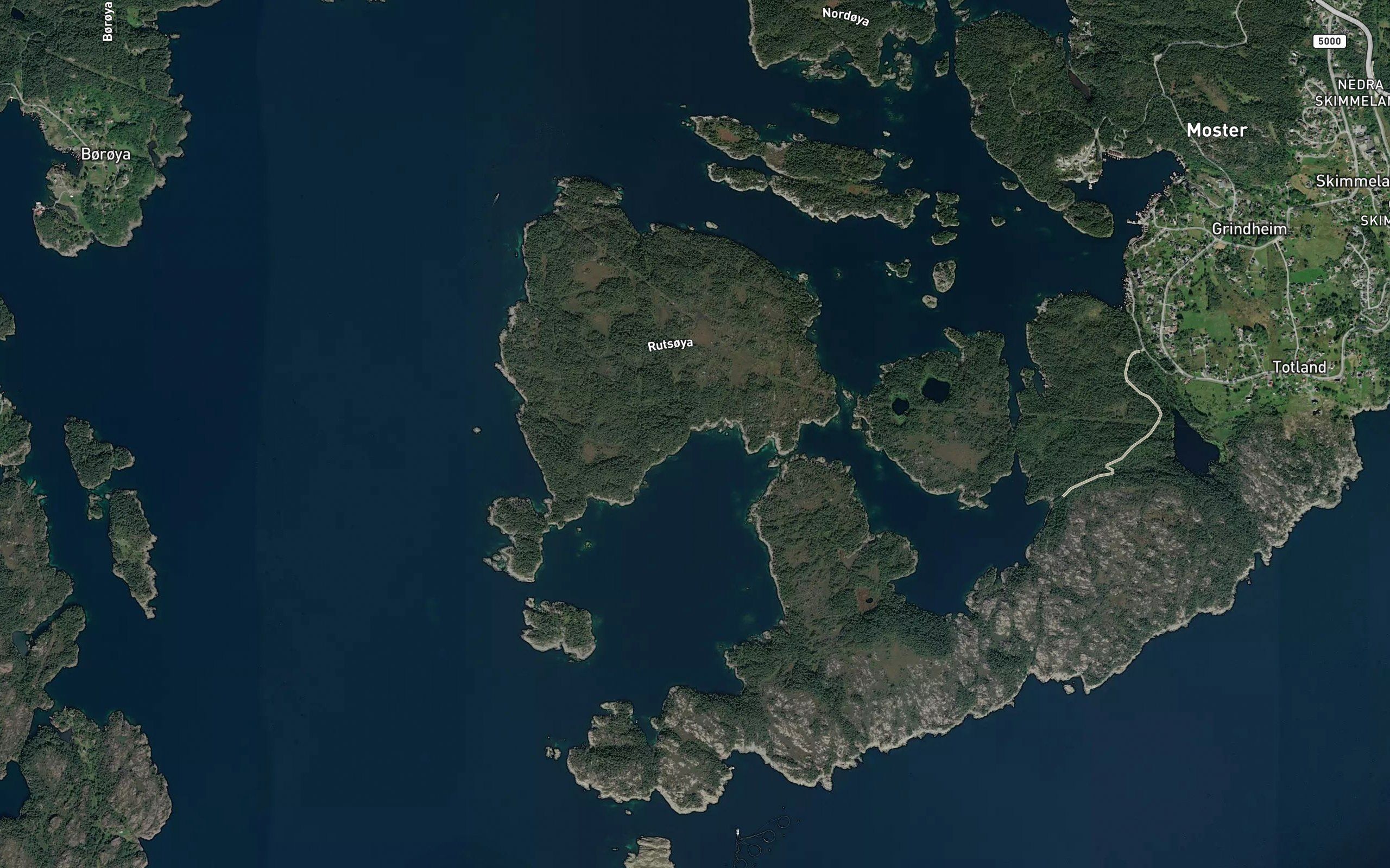 Svinavika