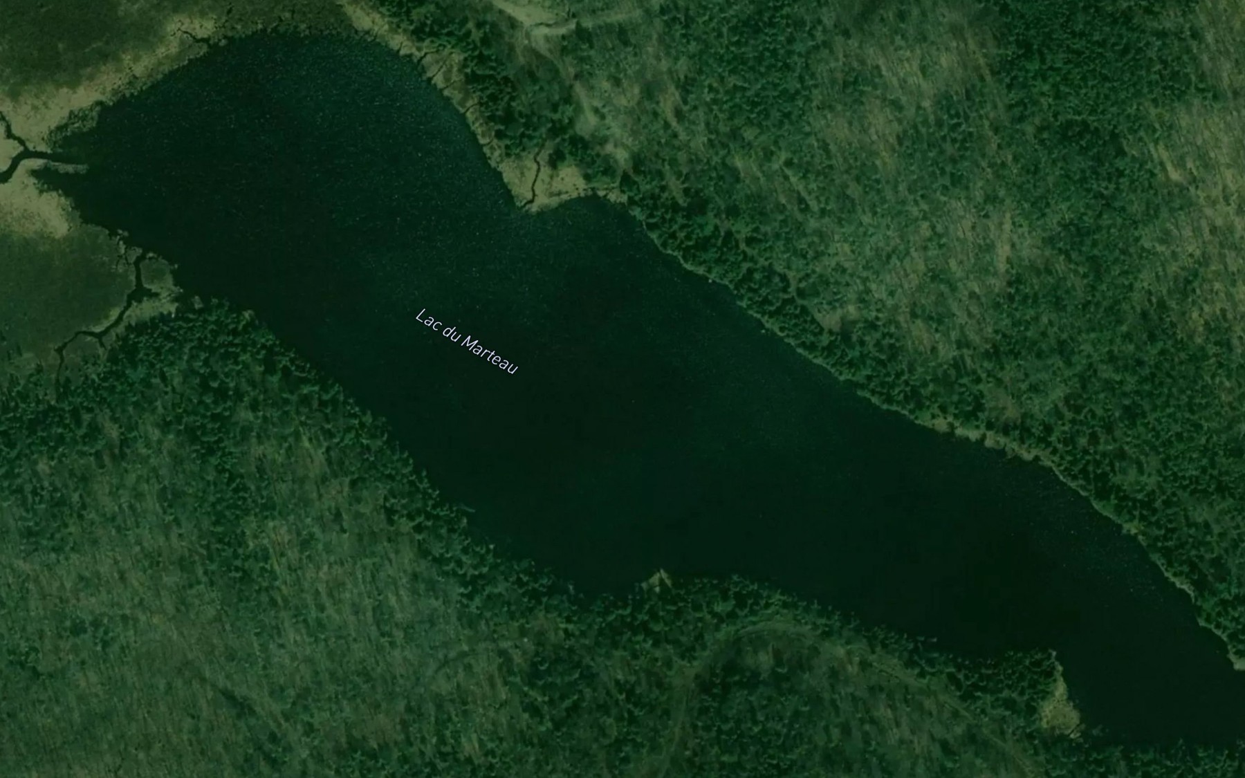 Satellite map of the Lac du Marteau