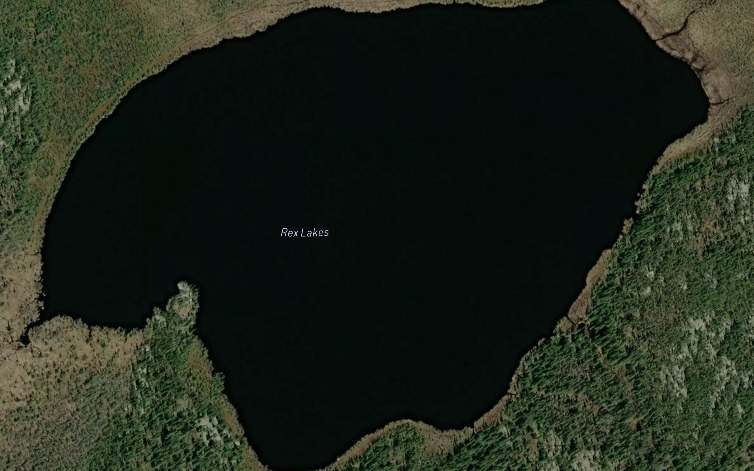 Rex Lakes