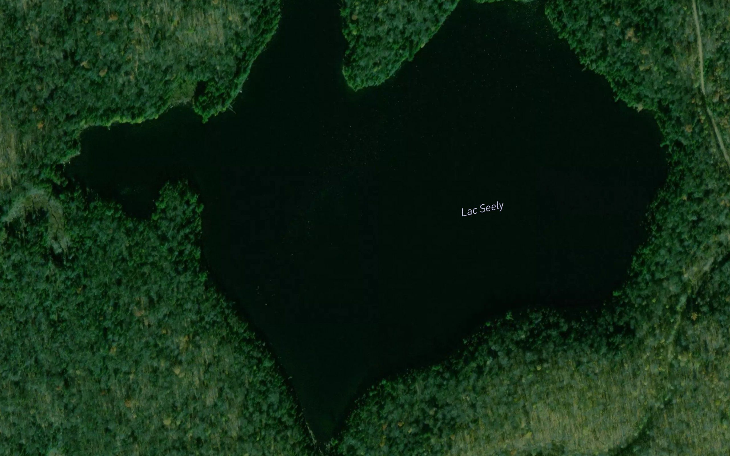 Lac Seely