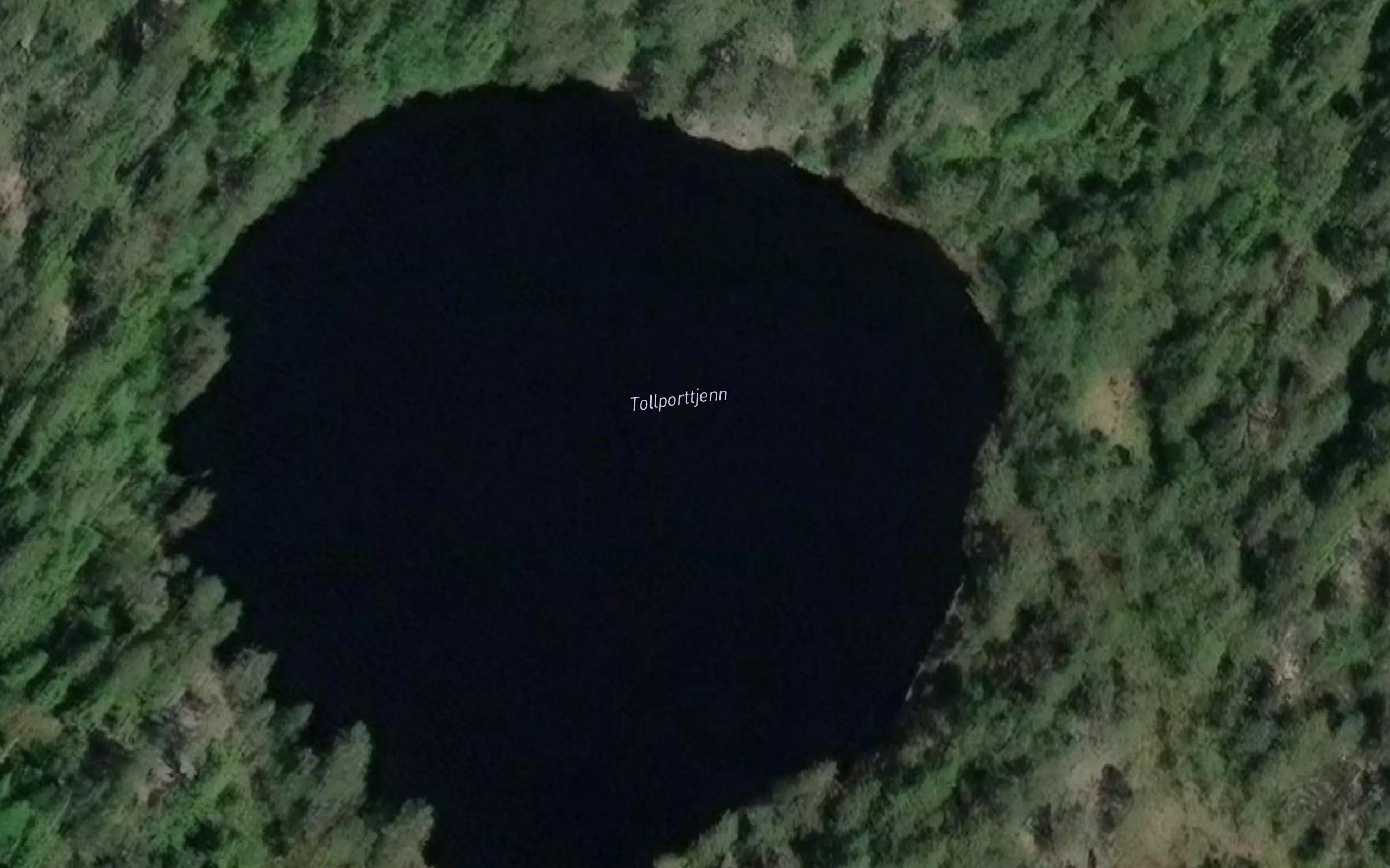 Tollporttjernet