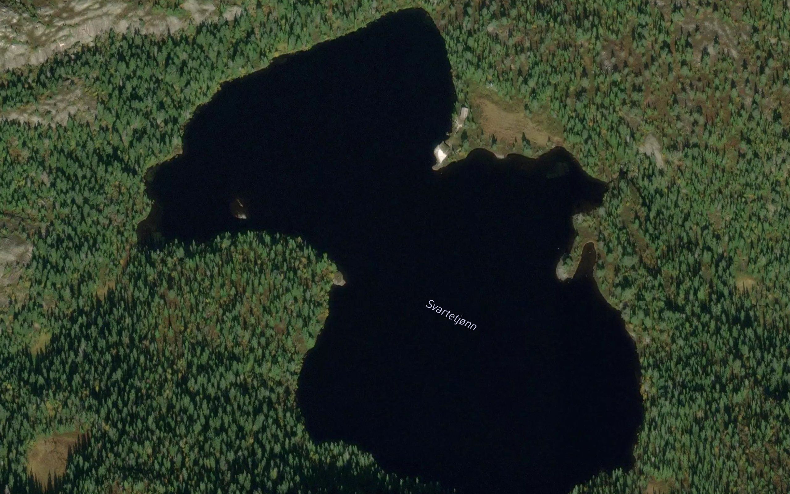 Svartetjorn