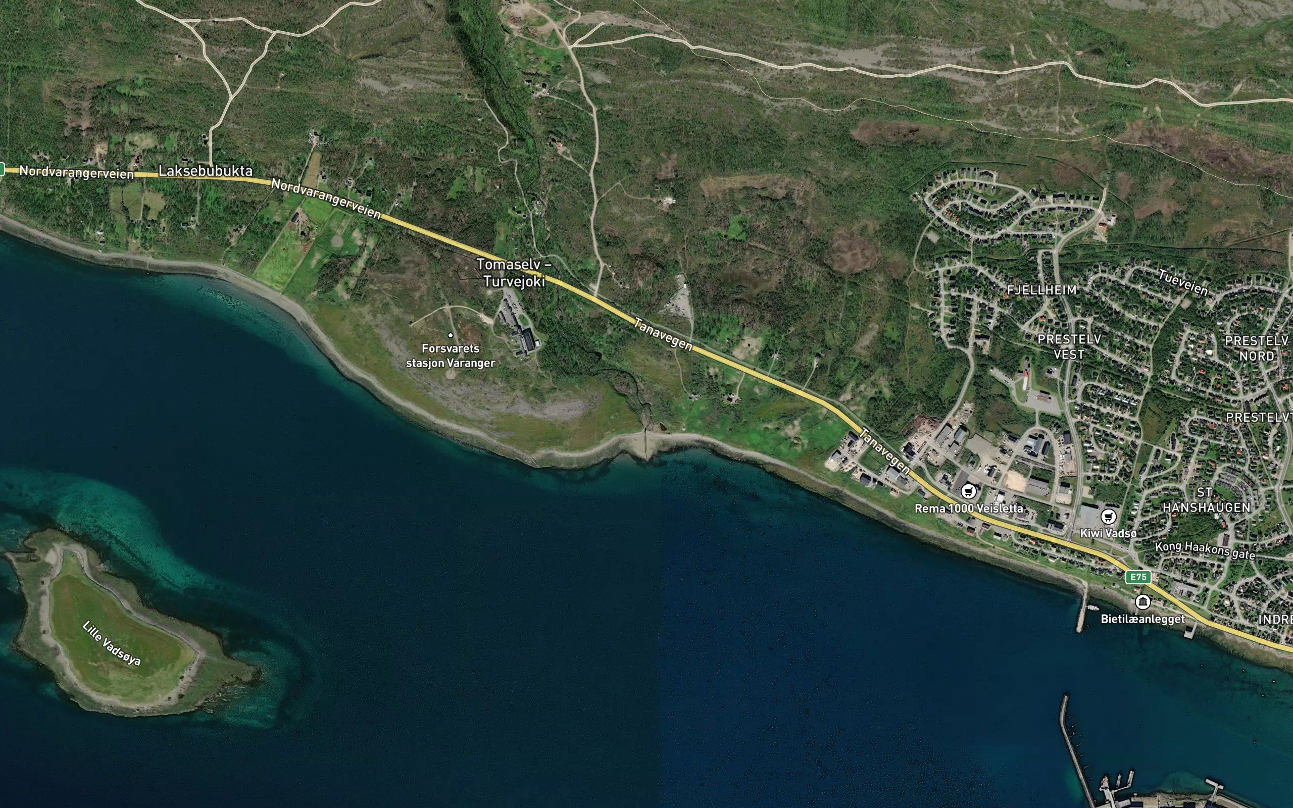 Tomaselva