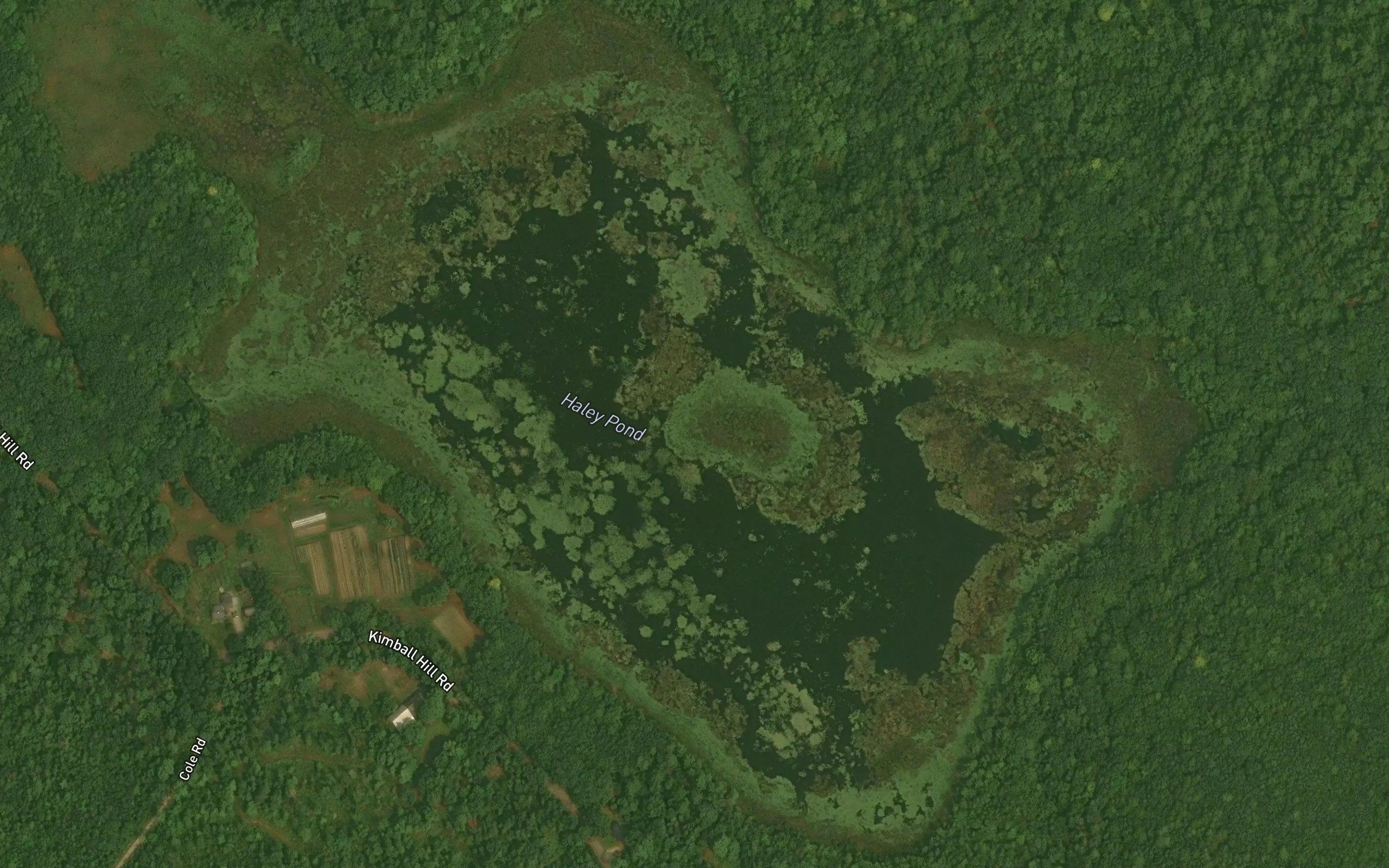 Haley Ponds