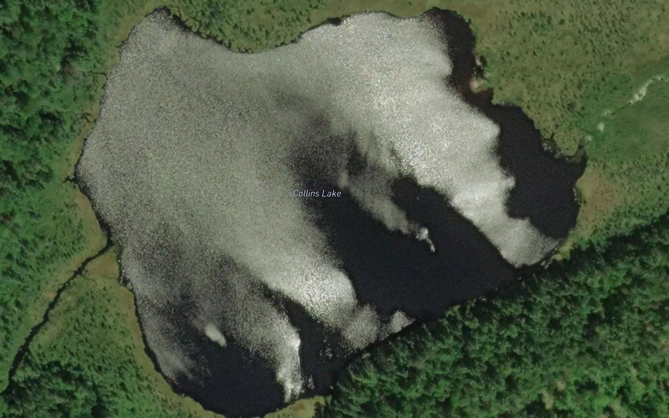 Collins Lake