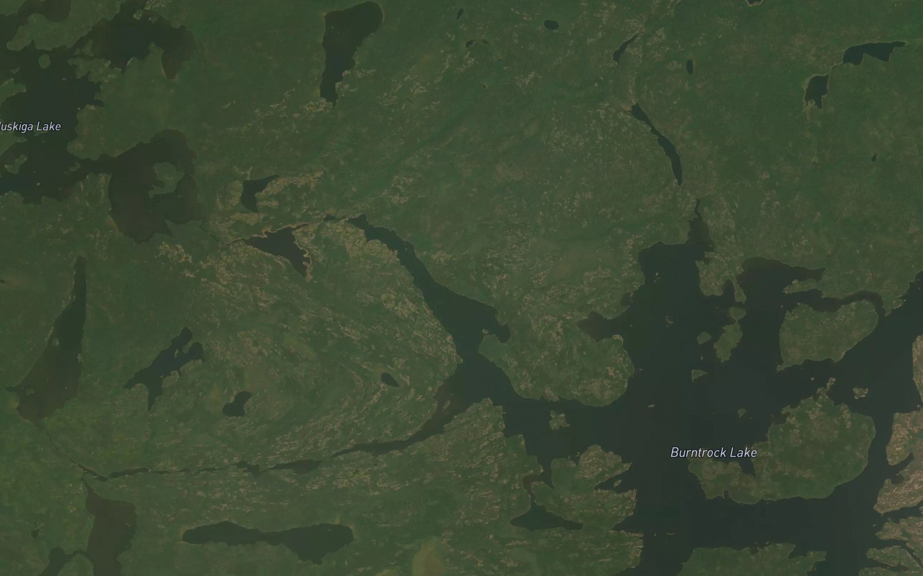 Satellite map of the Muskiga Creek