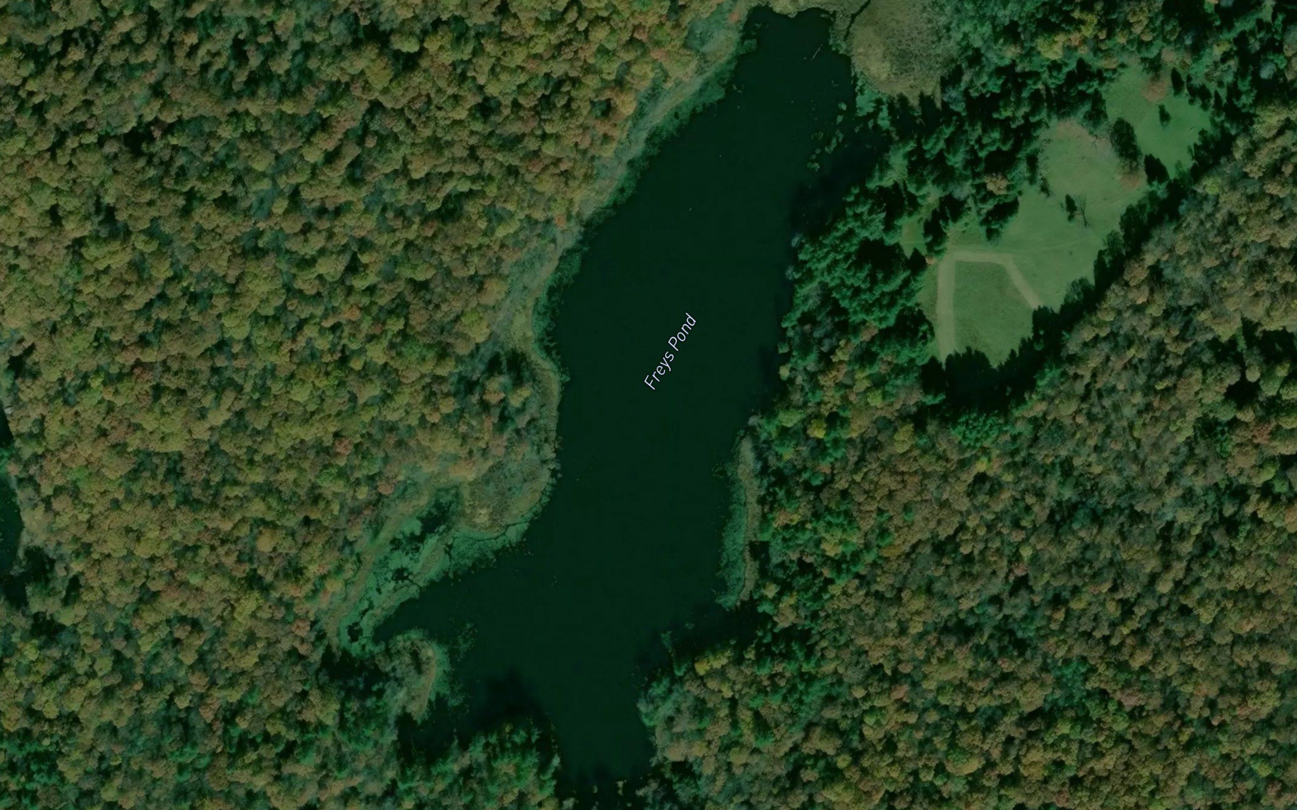 Freys Pond