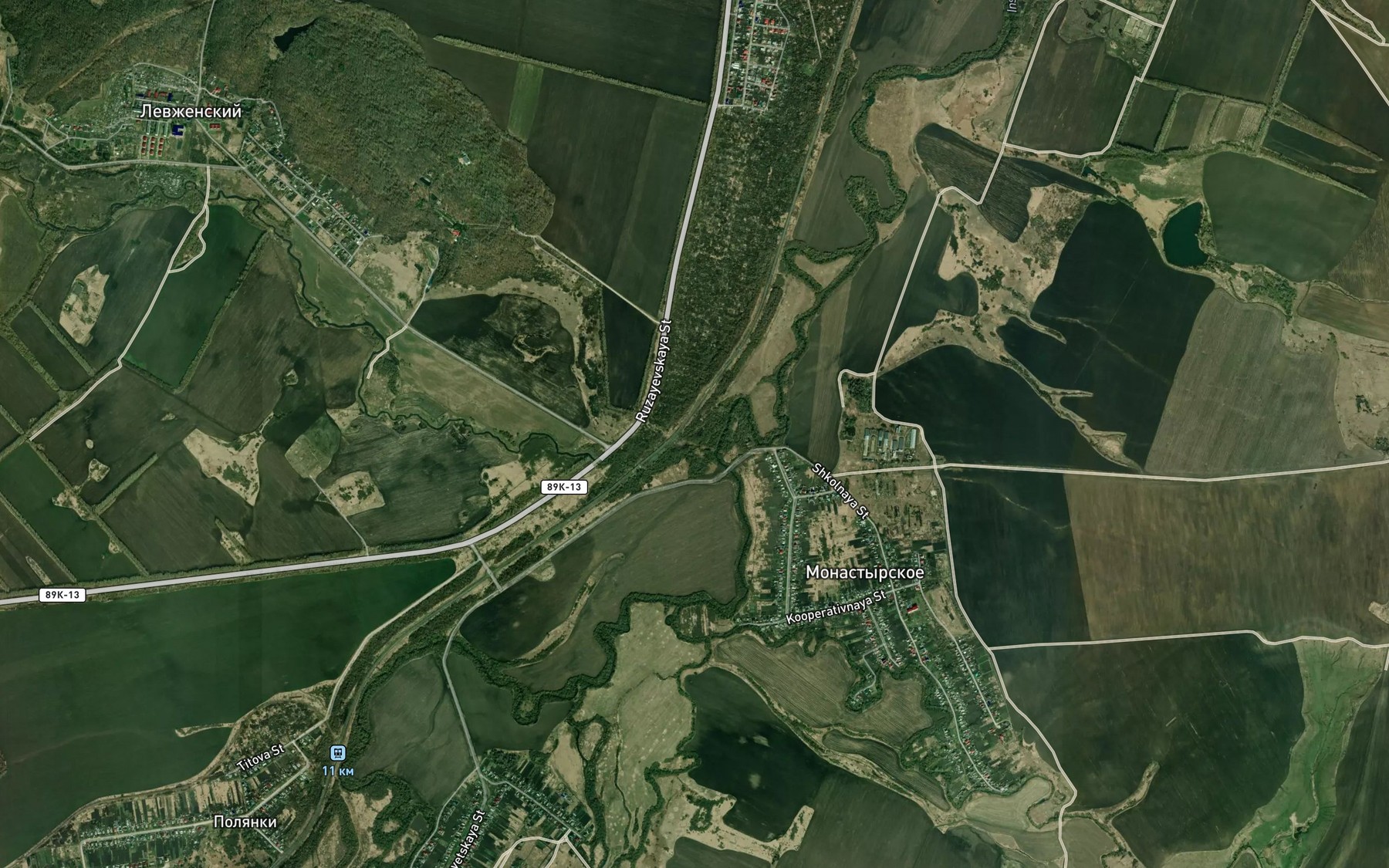 Satellite map of the Levzha