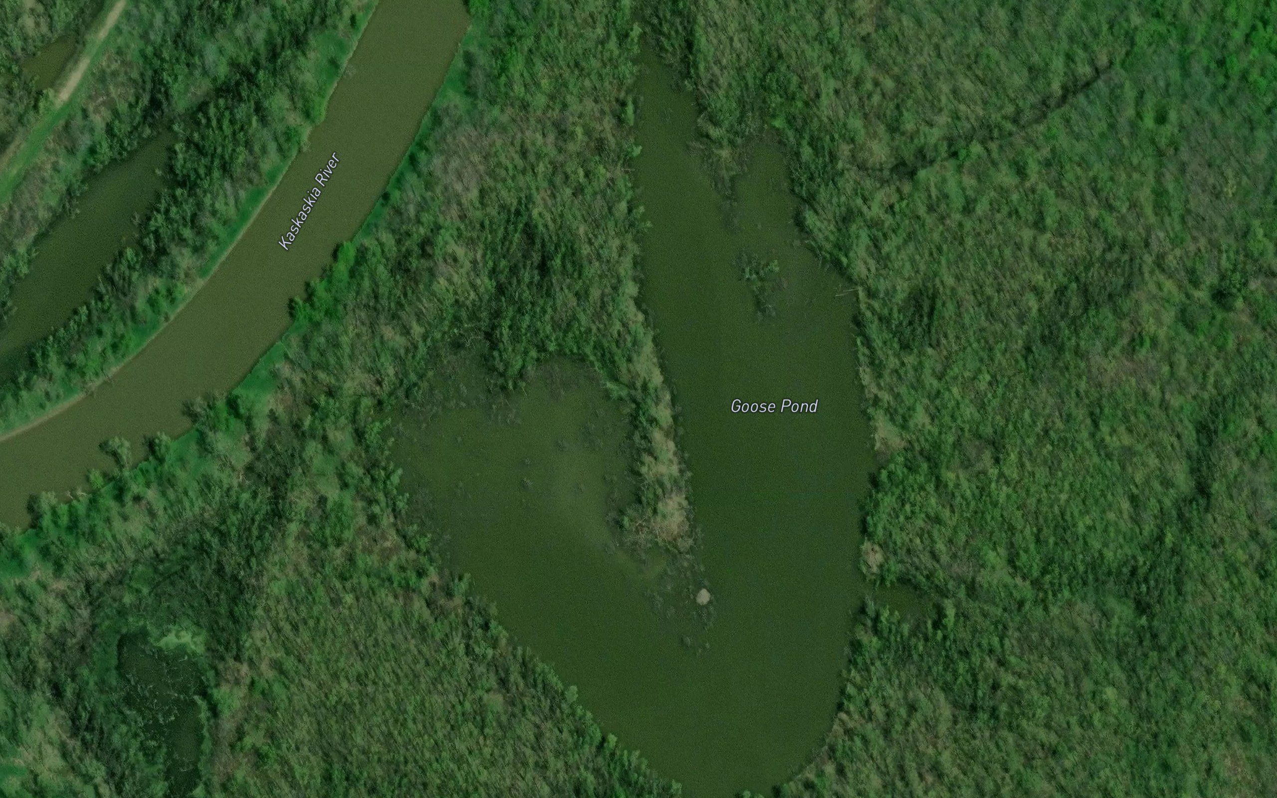 Goose Pond