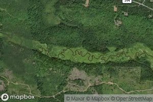 Nealy Creek