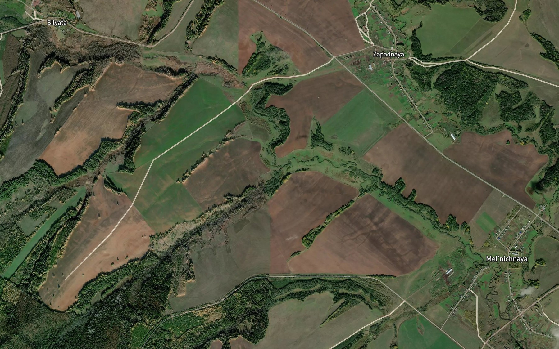 Satellite map of the Berezovaya