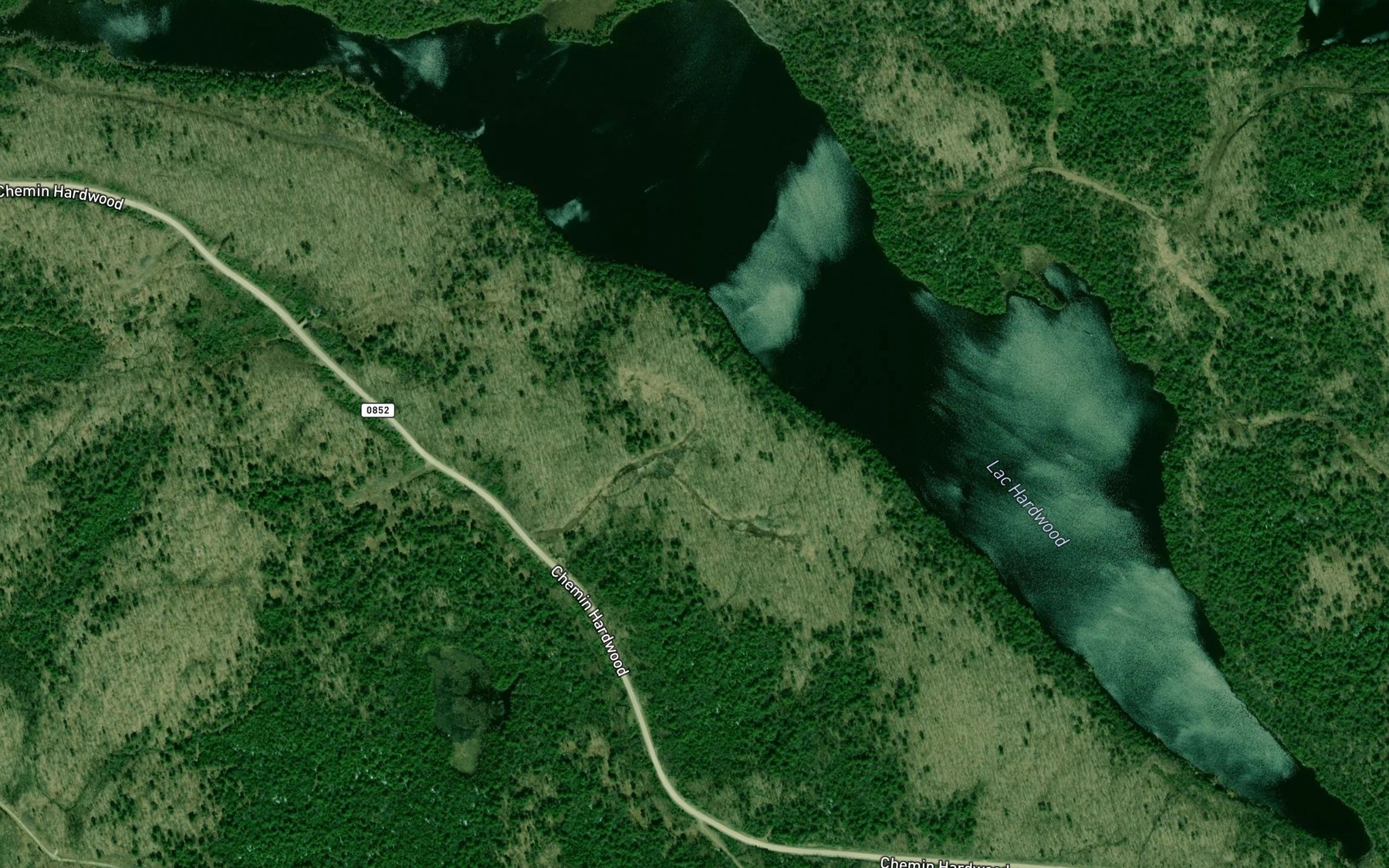 Satellite map of the Lac Hardwood