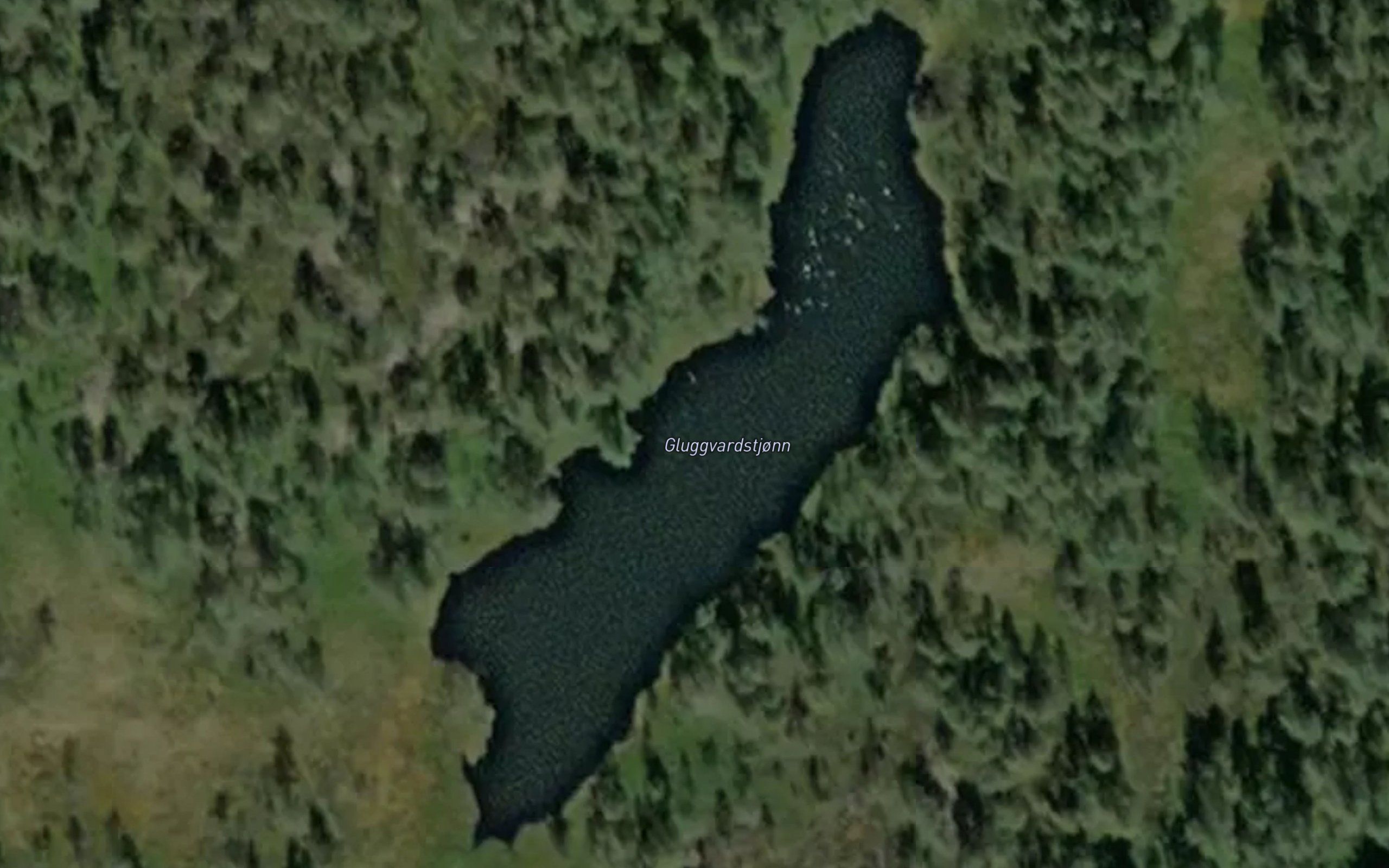 Gluggvardstjonn