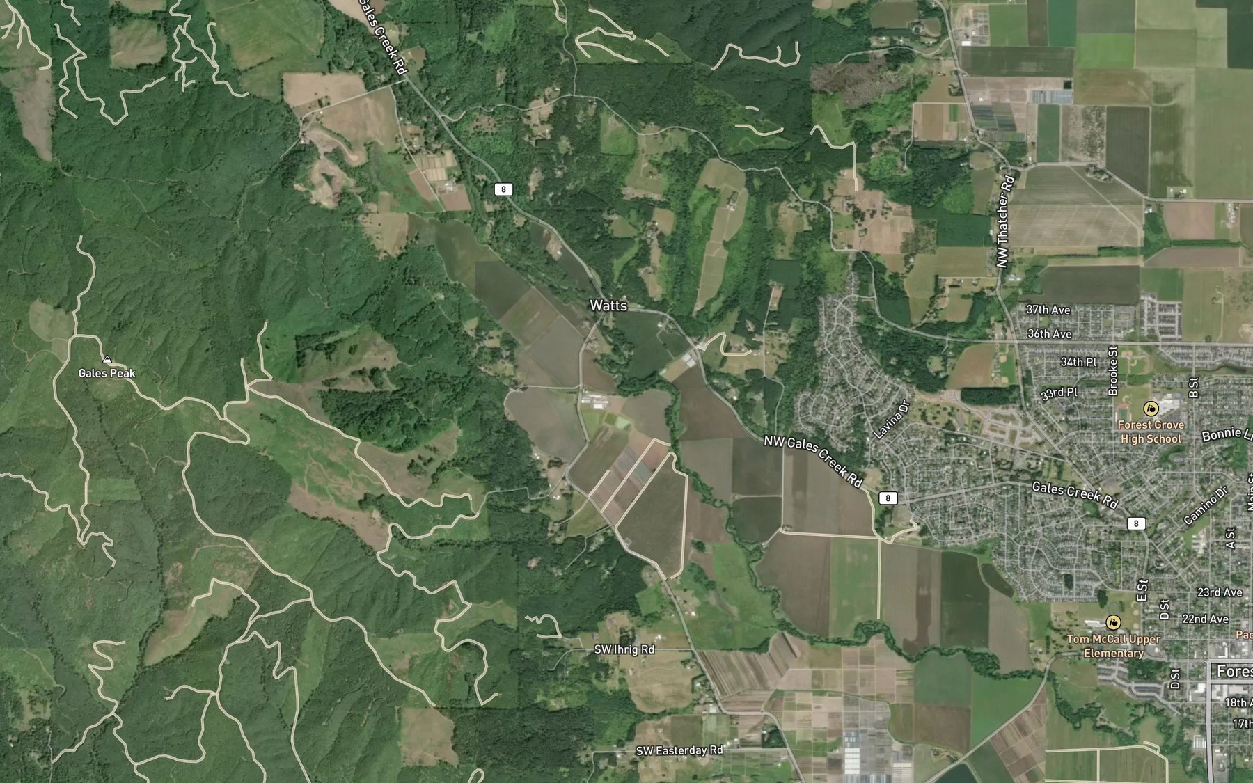 Satellite map of the Prickett Creek