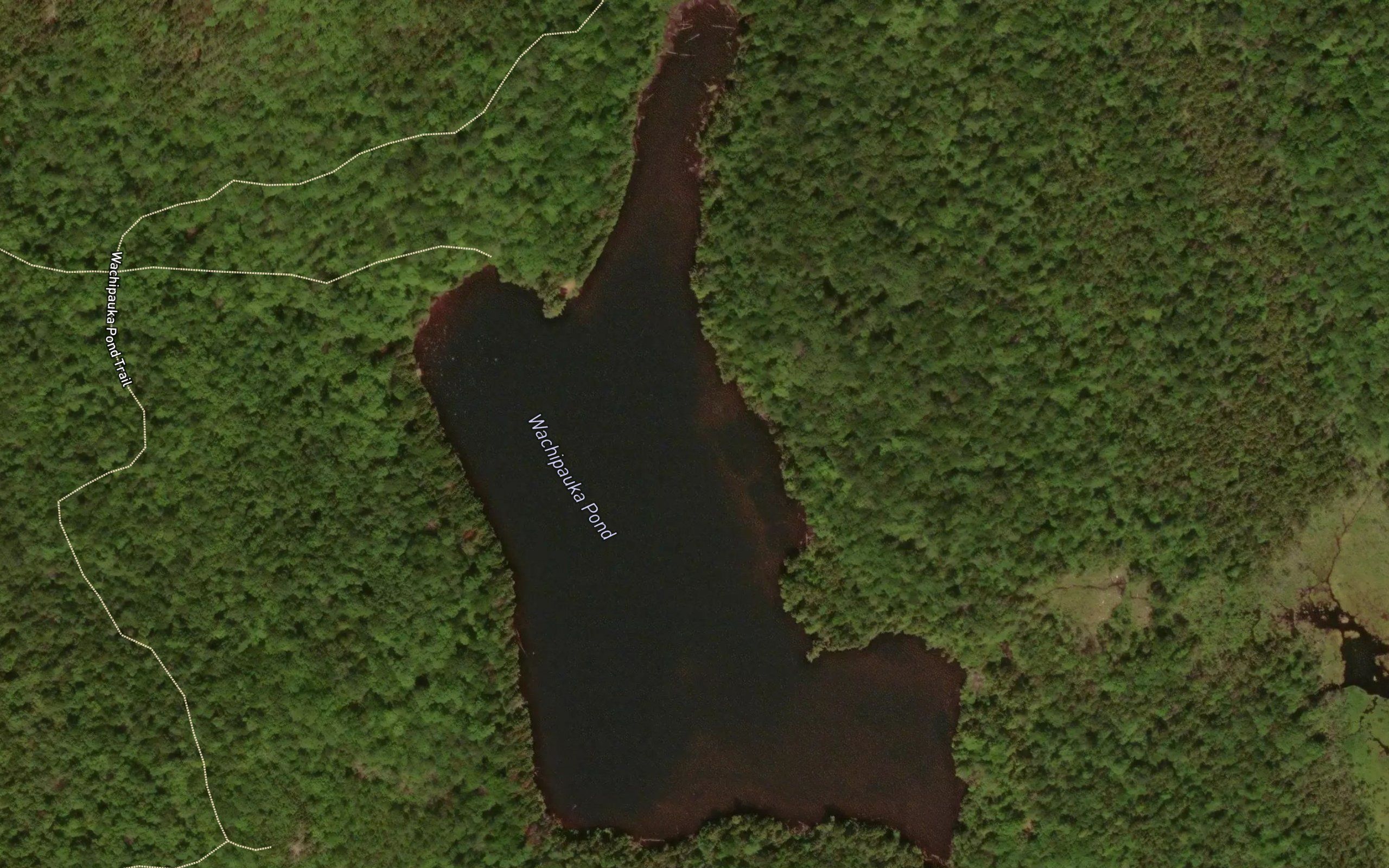Wachipauka Pond