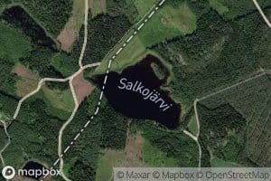 Salkojarvi