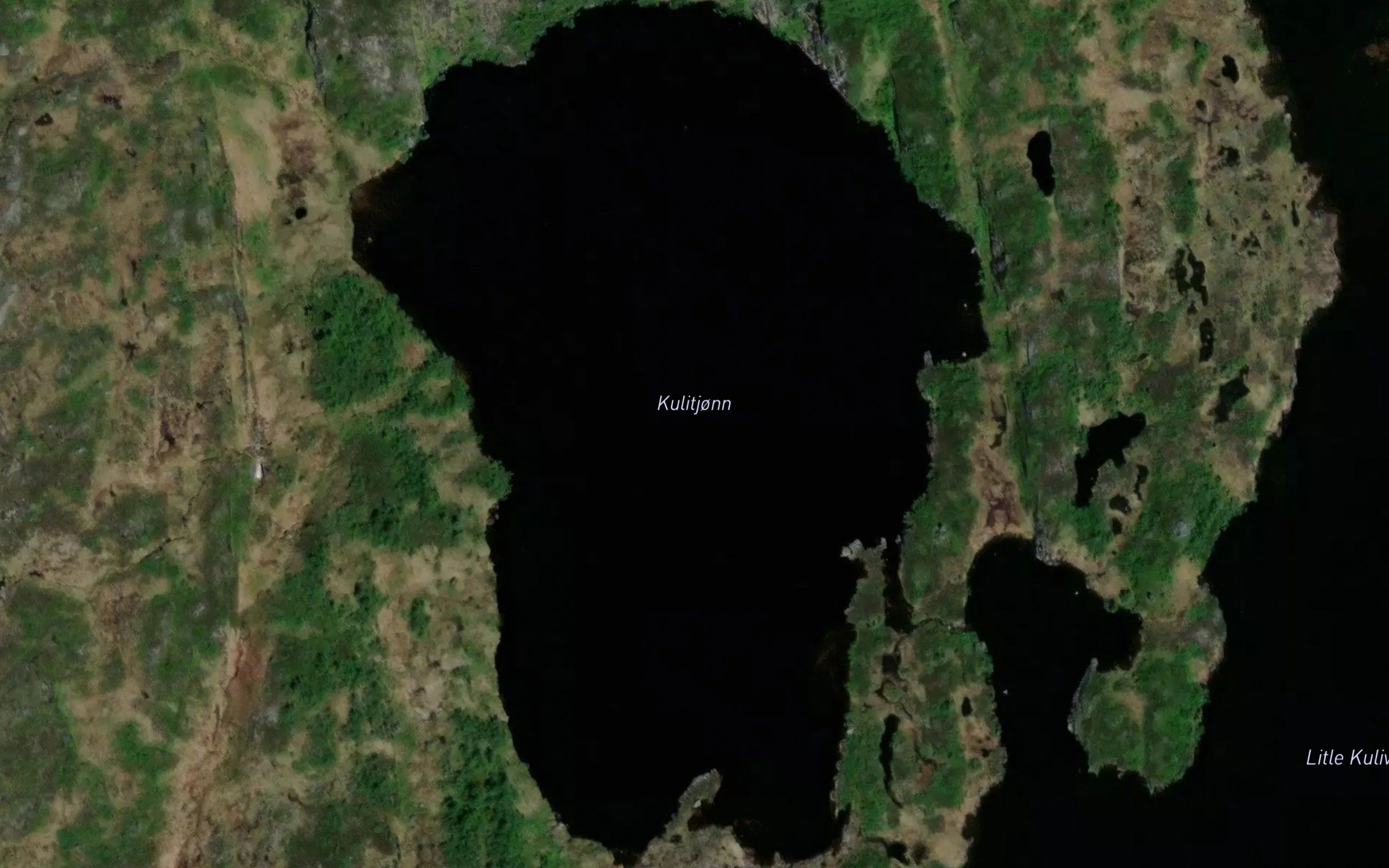 Kulitjonn