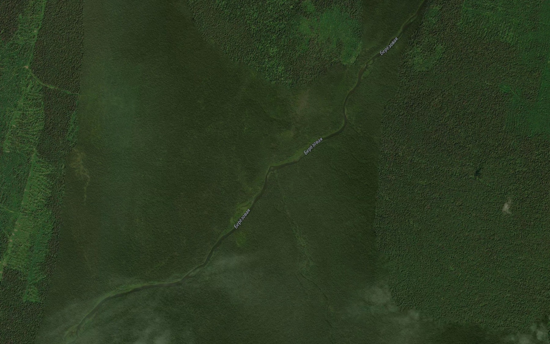 Satellite map of the Pozh