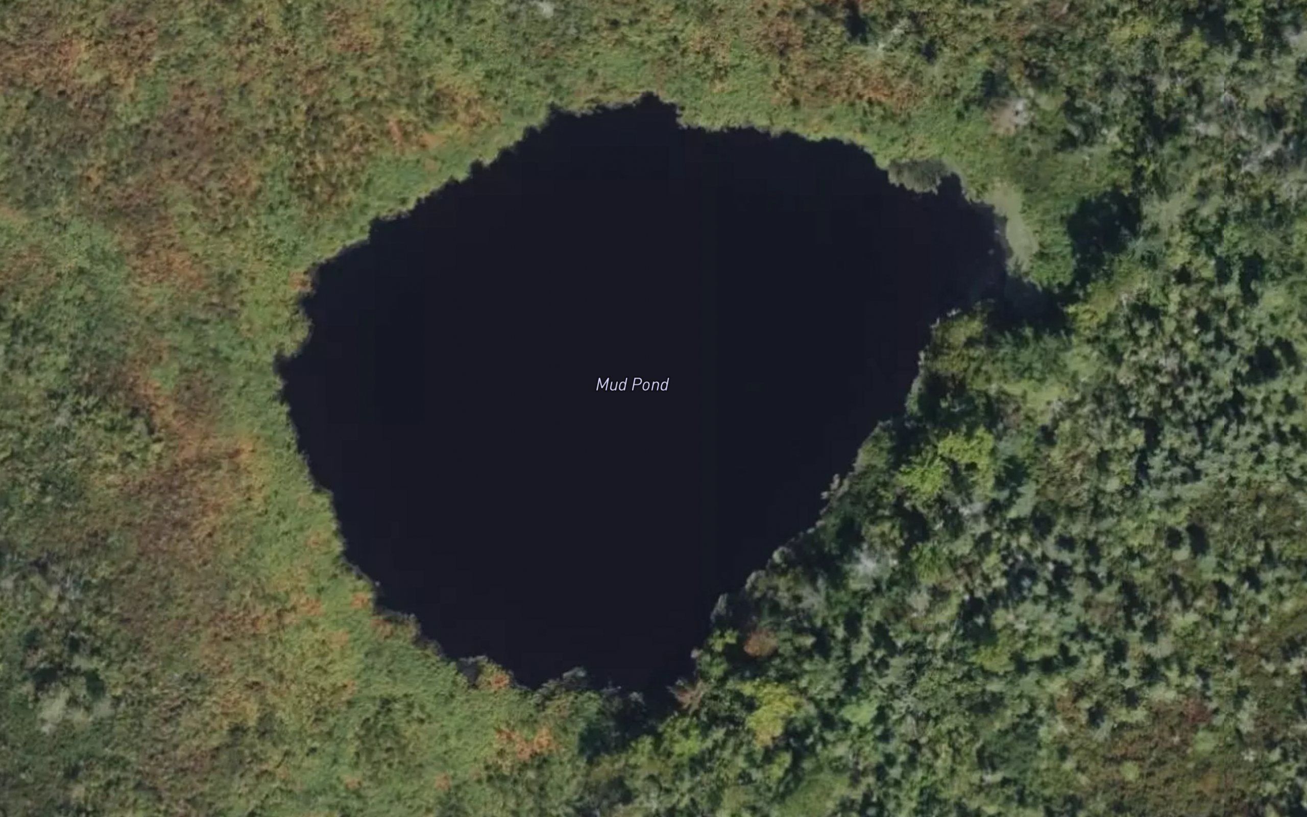 Mud Pond