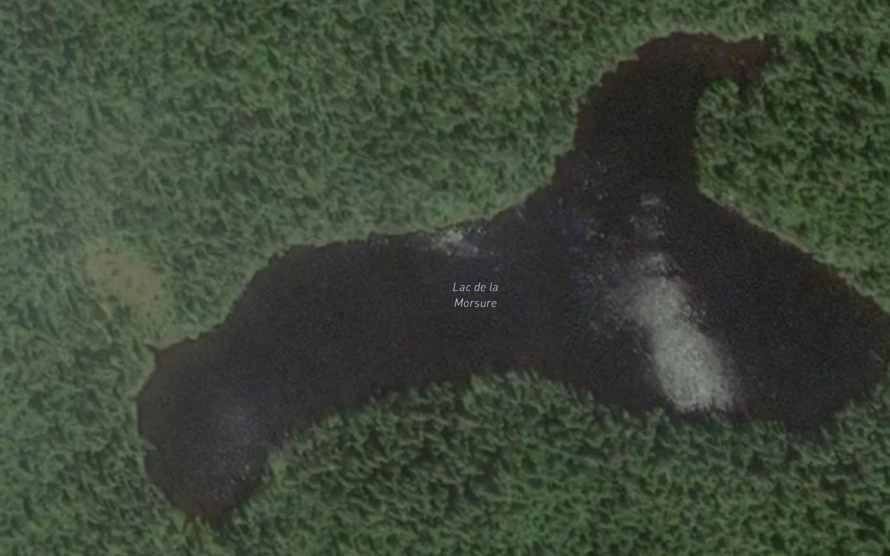 Satellite map of the Lac de la Morsure