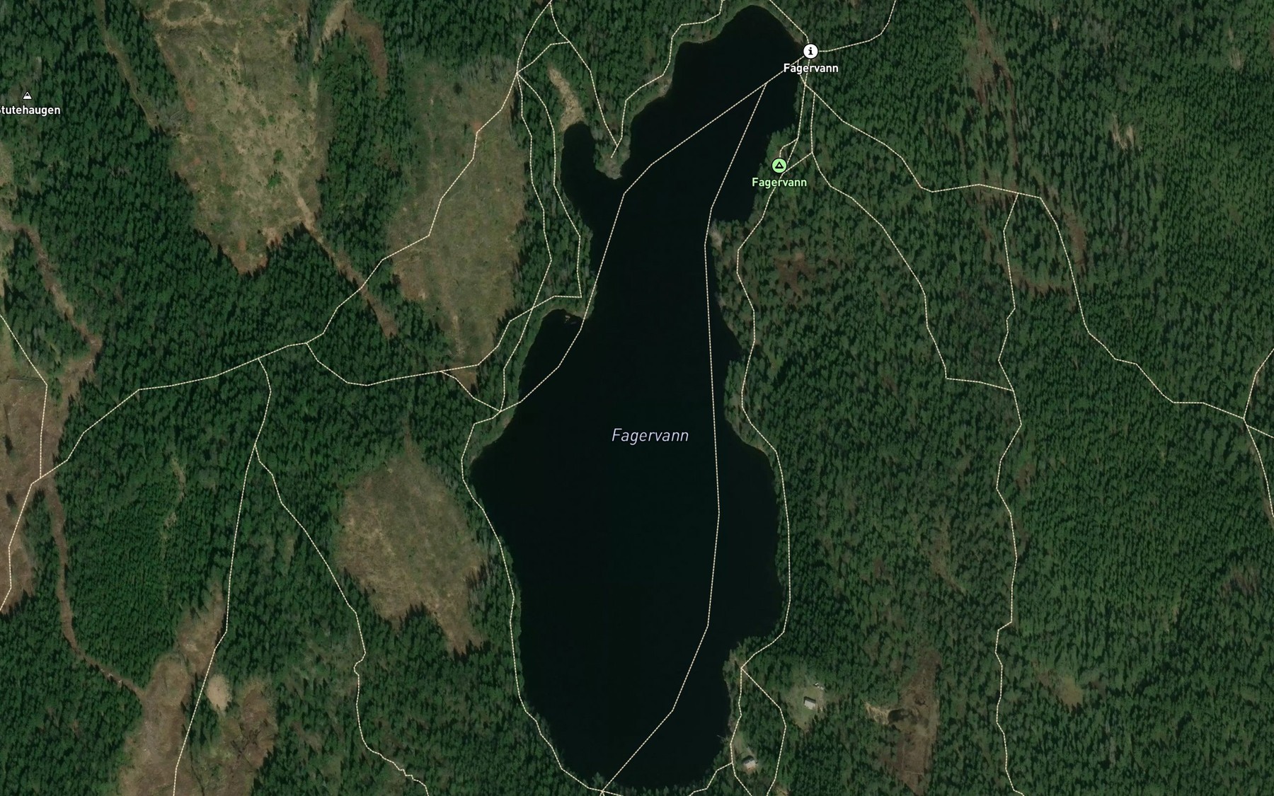 Satellite map of the Fagervann