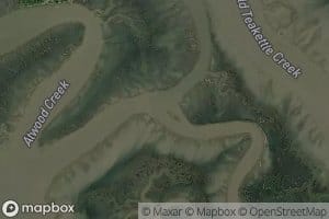 Dark Creek