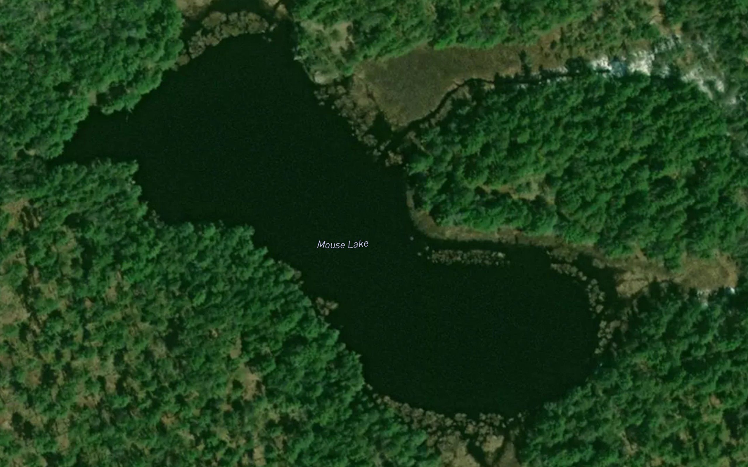 Mouse Lake