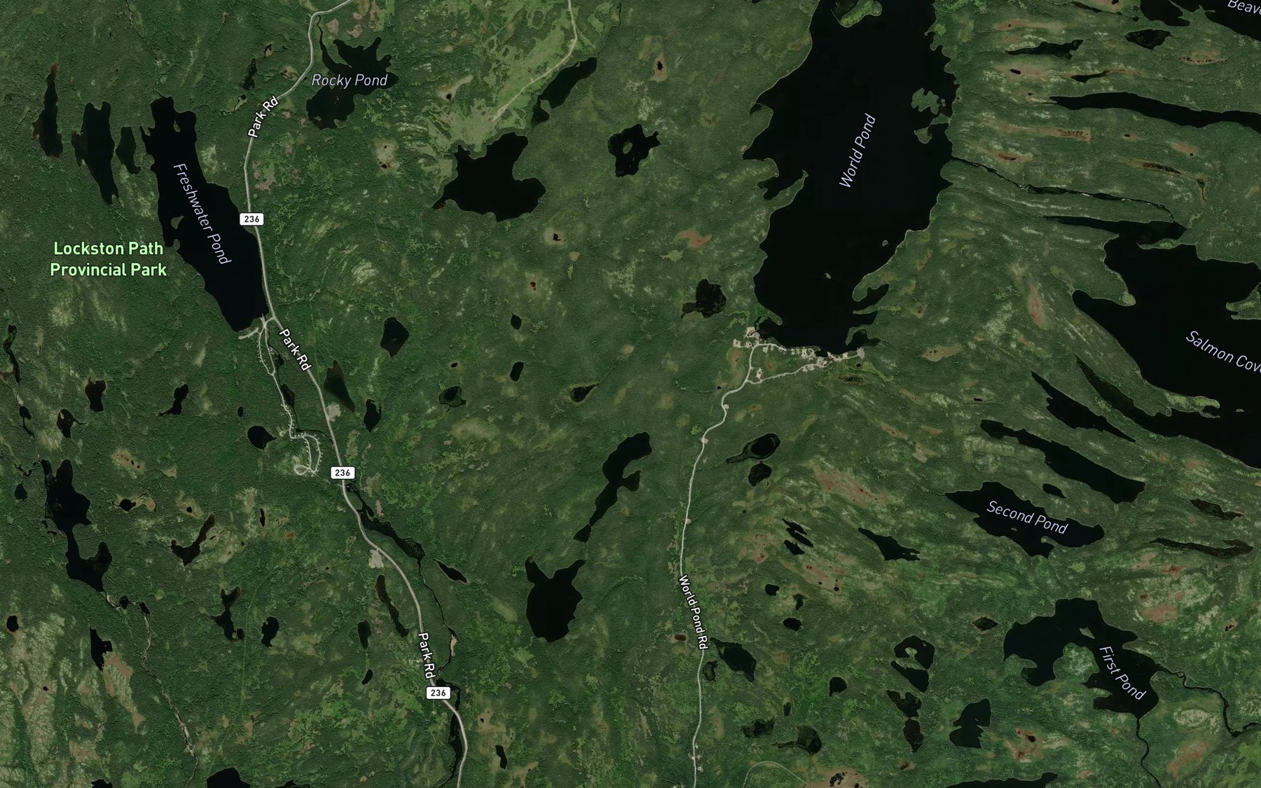 Satellite map of the Tom Randells Pond