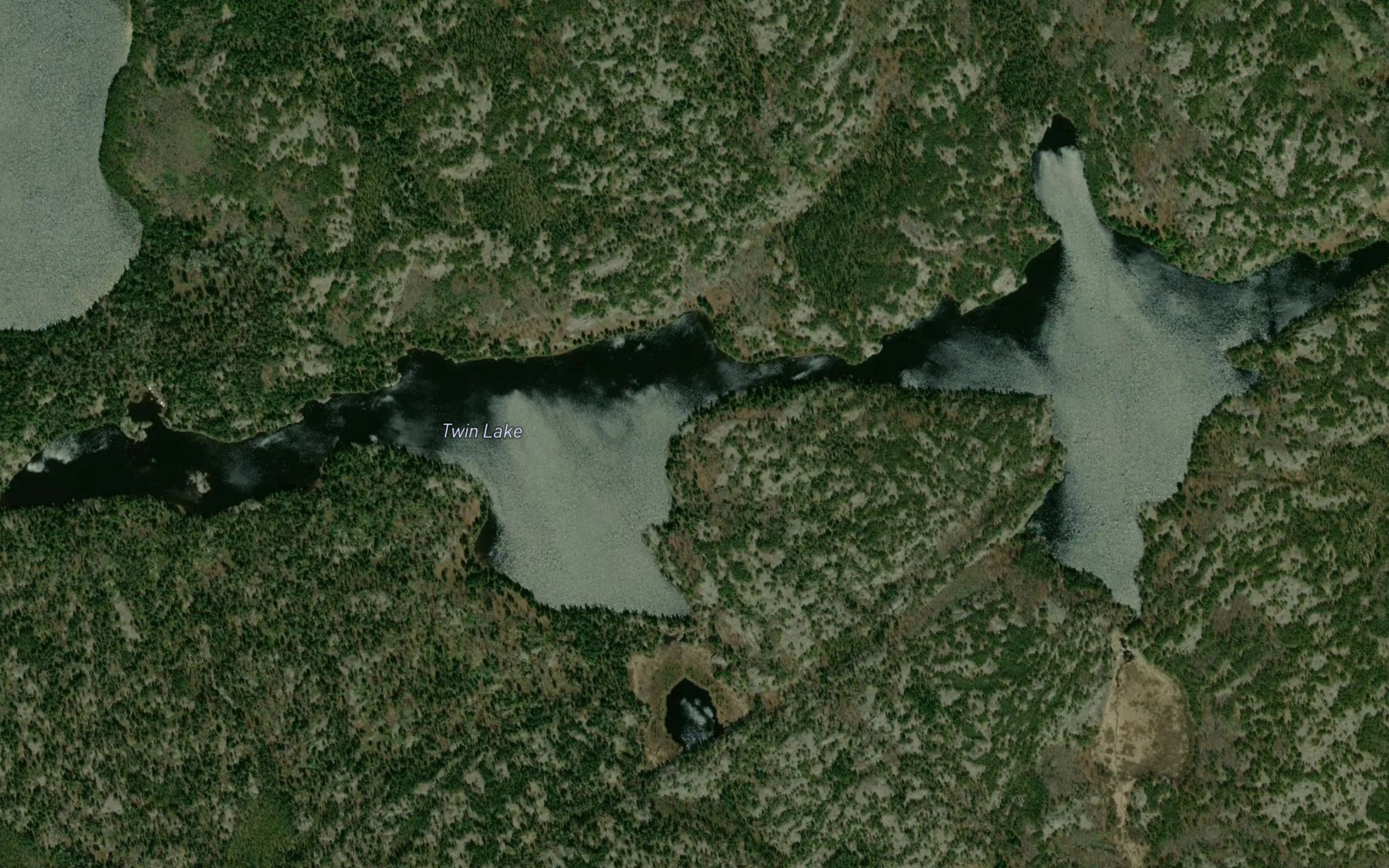 Satellite map of the Twin Lake