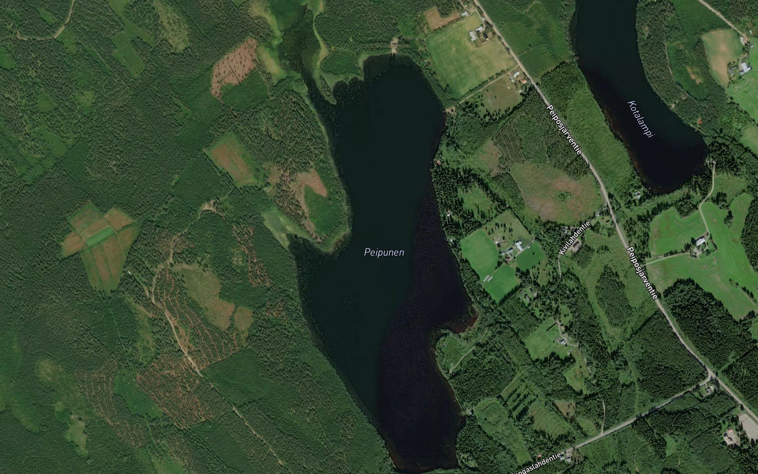 Peipunen
