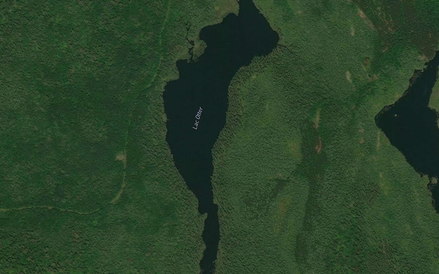 Satellite map of the Lac Otter