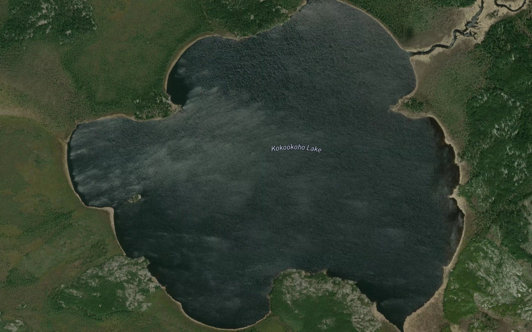 Satellite map of the Kokookoho Lake
