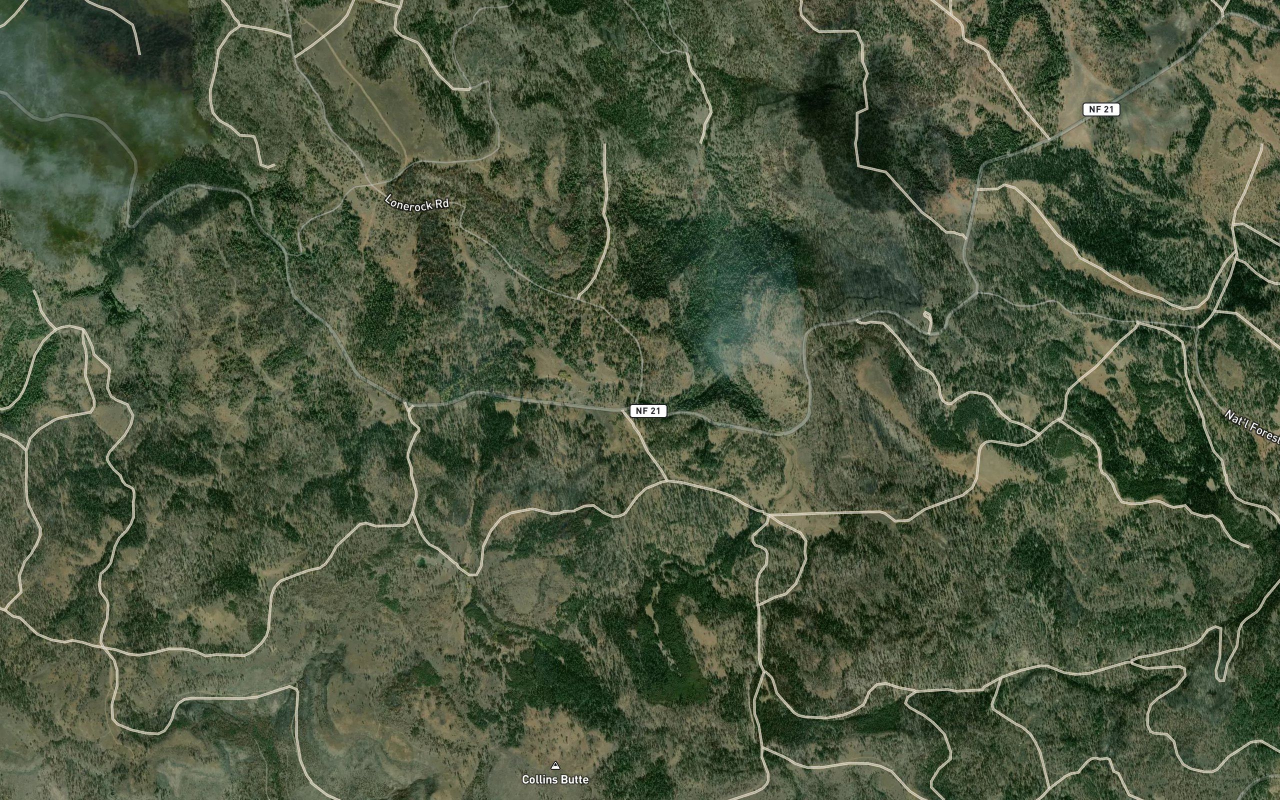 Long Prairie Spring