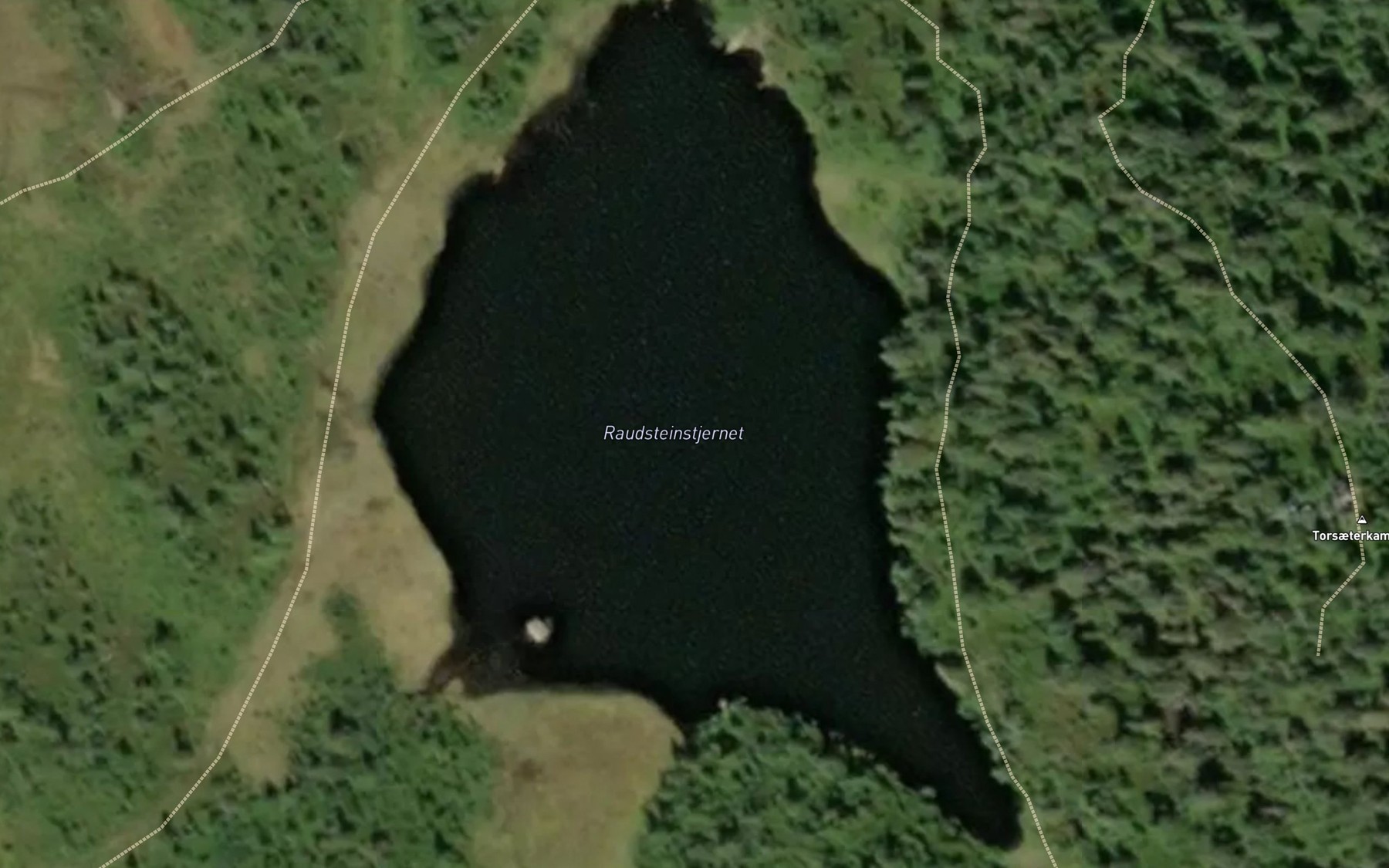Satellite map of the Rausteinstjern