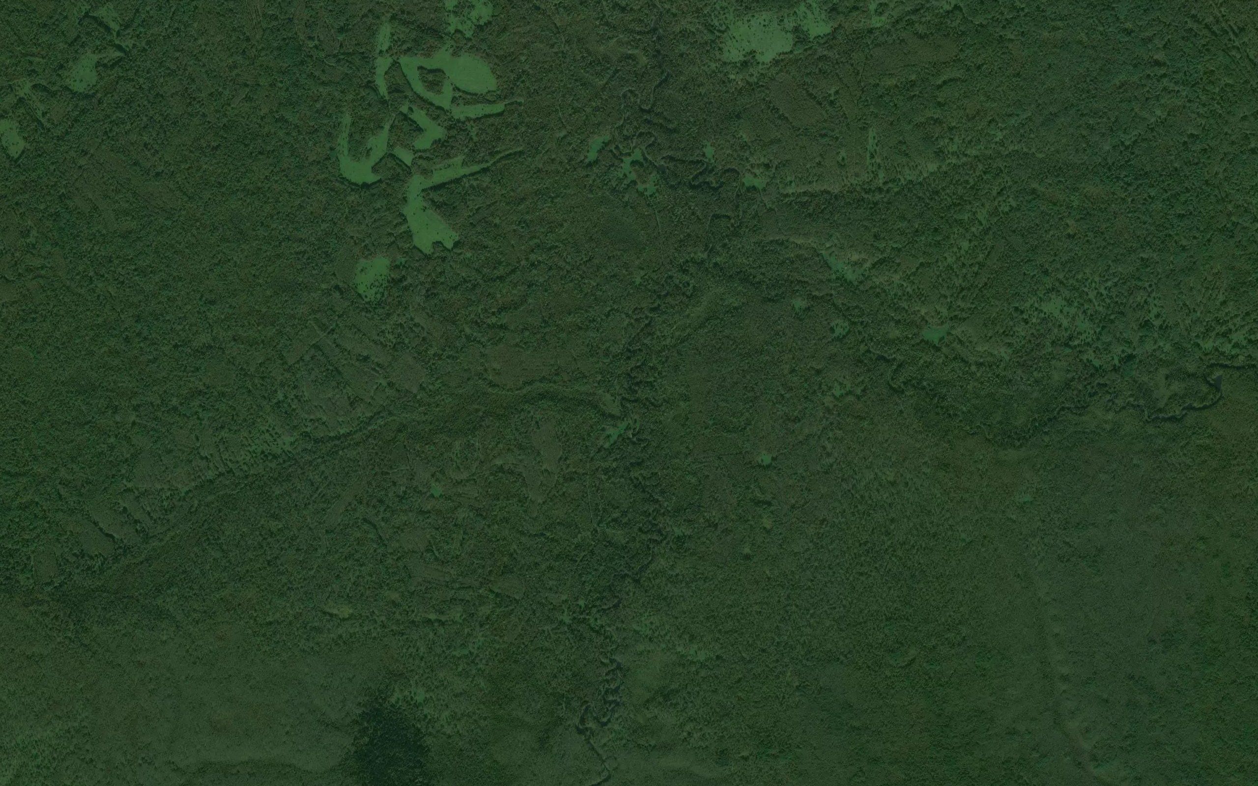 Grishina