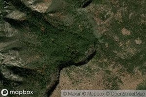 Dorsey Spring